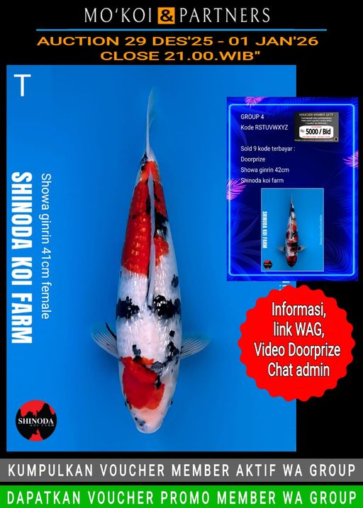 Lelang Koi Online, Jual Beli Ikan Koi, Pusat Jual Beli Koi, Info Lelang Koi Hari Ini, Platform Jual Beli Koi, Jual Beli Ikan Koi Online, Marketplace Ikan Koi, Jual Koi Terbaik, Tempat Beli Koi Berkualitas, Pasar Ikan Koi Online Terpercaya, Penjual Ikan Koi Terpercaya, Beli Koi Hias Online, Ikan Koi untuk Dijual, Koi Kualitas Terbaik, Toko Online Ikan Koi, Koi Hias Untuk Dijual, Jual Beli Ikan Koi Lokal, Koi Indonesia Online, Pusat Jual Beli Koi Terbesar