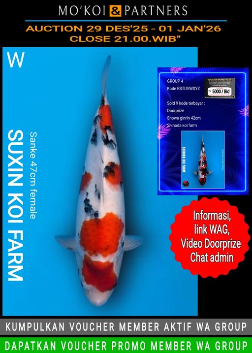 Lelang Koi Online, Jual Beli Ikan Koi, Pusat Jual Beli Koi, Info Lelang Koi Hari Ini, Platform Jual Beli Koi, Jual Beli Ikan Koi Online, Marketplace Ikan Koi, Jual Koi Terbaik, Tempat Beli Koi Berkualitas, Pasar Ikan Koi Online Terpercaya, Penjual Ikan Koi Terpercaya, Beli Koi Hias Online, Ikan Koi untuk Dijual, Koi Kualitas Terbaik, Toko Online Ikan Koi, Koi Hias Untuk Dijual, Jual Beli Ikan Koi Lokal, Koi Indonesia Online, Pusat Jual Beli Koi Terbesar