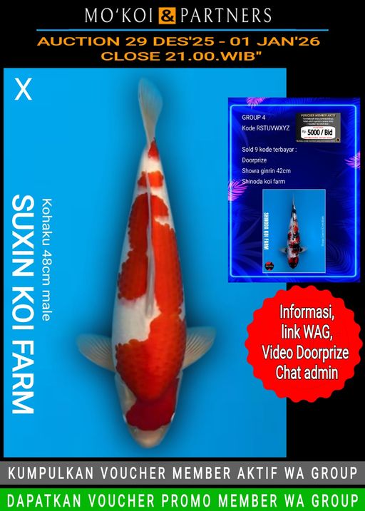 Lelang Koi Online, Jual Beli Ikan Koi, Pusat Jual Beli Koi, Info Lelang Koi Hari Ini, Platform Jual Beli Koi, Jual Beli Ikan Koi Online, Marketplace Ikan Koi, Jual Koi Terbaik, Tempat Beli Koi Berkualitas, Pasar Ikan Koi Online Terpercaya, Penjual Ikan Koi Terpercaya, Beli Koi Hias Online, Ikan Koi untuk Dijual, Koi Kualitas Terbaik, Toko Online Ikan Koi, Koi Hias Untuk Dijual, Jual Beli Ikan Koi Lokal, Koi Indonesia Online, Pusat Jual Beli Koi Terbesar