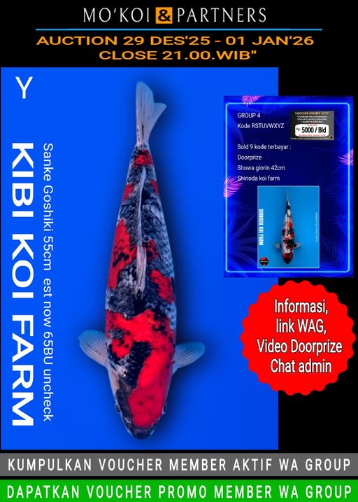 Lelang Koi Online, Jual Beli Ikan Koi, Pusat Jual Beli Koi, Info Lelang Koi Hari Ini, Platform Jual Beli Koi, Jual Beli Ikan Koi Online, Marketplace Ikan Koi, Jual Koi Terbaik, Tempat Beli Koi Berkualitas, Pasar Ikan Koi Online Terpercaya, Penjual Ikan Koi Terpercaya, Beli Koi Hias Online, Ikan Koi untuk Dijual, Koi Kualitas Terbaik, Toko Online Ikan Koi, Koi Hias Untuk Dijual, Jual Beli Ikan Koi Lokal, Koi Indonesia Online, Pusat Jual Beli Koi Terbesar