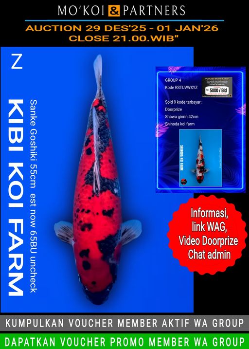 Lelang Koi Online, Jual Beli Ikan Koi, Pusat Jual Beli Koi, Info Lelang Koi Hari Ini, Platform Jual Beli Koi, Jual Beli Ikan Koi Online, Marketplace Ikan Koi, Jual Koi Terbaik, Tempat Beli Koi Berkualitas, Pasar Ikan Koi Online Terpercaya, Penjual Ikan Koi Terpercaya, Beli Koi Hias Online, Ikan Koi untuk Dijual, Koi Kualitas Terbaik, Toko Online Ikan Koi, Koi Hias Untuk Dijual, Jual Beli Ikan Koi Lokal, Koi Indonesia Online, Pusat Jual Beli Koi Terbesar