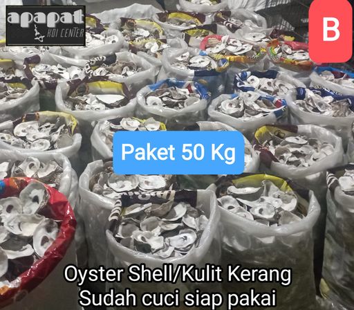 Ikan Koi 50 KG OYSTER SHELL CANGKANG KERANG BERSIH SUDAH CUCI SIAP PAKAI 10cm, lelang koi 50 KG OYSTER SHELL CANGKANG KERANG BERSIH SUDAH CUCI SIAP PAKAI 10cm, jual koi 50 KG OYSTER SHELL CANGKANG KERANG BERSIH SUDAH CUCI SIAP PAKAI 10cm, beli koi 50 KG OYSTER SHELL CANGKANG KERANG BERSIH SUDAH CUCI SIAP PAKAI 10cm, Lelang Koi Online, Jual Beli Ikan Koi, Pusat Jual Beli Koi, Info Lelang Koi Hari Ini, Platform Jual Beli Koi, Jual Beli Ikan Koi Online, Marketplace Ikan Koi, Jual Koi Terbaik, Tempat Beli Koi Berkualitas, Pasar Ikan Koi Online Terpercaya, Penjual Ikan Koi Terpercaya, Beli Koi Hias Online, Ikan Koi untuk Dijual, Koi Kualitas Terbaik, Toko Online Ikan Koi, Koi Hias Untuk Dijual, Jual Beli Ikan Koi Lokal, Koi Indonesia Online, Pusat Jual Beli Koi Terbesar