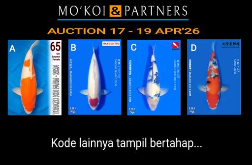 Lelang Koi Online, Jual Beli Ikan Koi, Pusat Jual Beli Koi, Info Lelang Koi Hari Ini, Platform Jual Beli Koi, Jual Beli Ikan Koi Online, Marketplace Ikan Koi, Jual Koi Terbaik, Tempat Beli Koi Berkualitas, Pasar Ikan Koi Online Terpercaya, Penjual Ikan Koi Terpercaya, Beli Koi Hias Online, Ikan Koi untuk Dijual, Koi Kualitas Terbaik, Toko Online Ikan Koi, Koi Hias Untuk Dijual, Jual Beli Ikan Koi Lokal, Koi Indonesia Online, Pusat Jual Beli Koi Terbesar