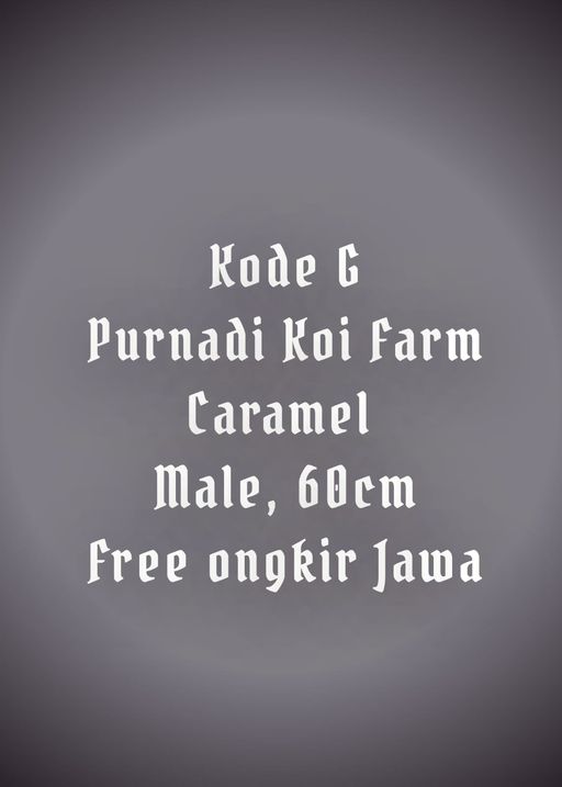 Lelang Koi Online, Jual Beli Ikan Koi, Pusat Jual Beli Koi, Info Lelang Koi Hari Ini, Platform Jual Beli Koi, Jual Beli Ikan Koi Online, Marketplace Ikan Koi, Jual Koi Terbaik, Tempat Beli Koi Berkualitas, Pasar Ikan Koi Online Terpercaya, Penjual Ikan Koi Terpercaya, Beli Koi Hias Online, Ikan Koi untuk Dijual, Koi Kualitas Terbaik, Toko Online Ikan Koi, Koi Hias Untuk Dijual, Jual Beli Ikan Koi Lokal, Koi Indonesia Online, Pusat Jual Beli Koi Terbesar