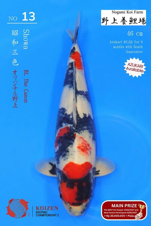 Lelang Koi Online, Jual Beli Ikan Koi, Pusat Jual Beli Koi, Info Lelang Koi Hari Ini, Platform Jual Beli Koi, Jual Beli Ikan Koi Online, Marketplace Ikan Koi, Jual Koi Terbaik, Tempat Beli Koi Berkualitas, Pasar Ikan Koi Online Terpercaya, Penjual Ikan Koi Terpercaya, Beli Koi Hias Online, Ikan Koi untuk Dijual, Koi Kualitas Terbaik, Toko Online Ikan Koi, Koi Hias Untuk Dijual, Jual Beli Ikan Koi Lokal, Koi Indonesia Online, Pusat Jual Beli Koi Terbesar