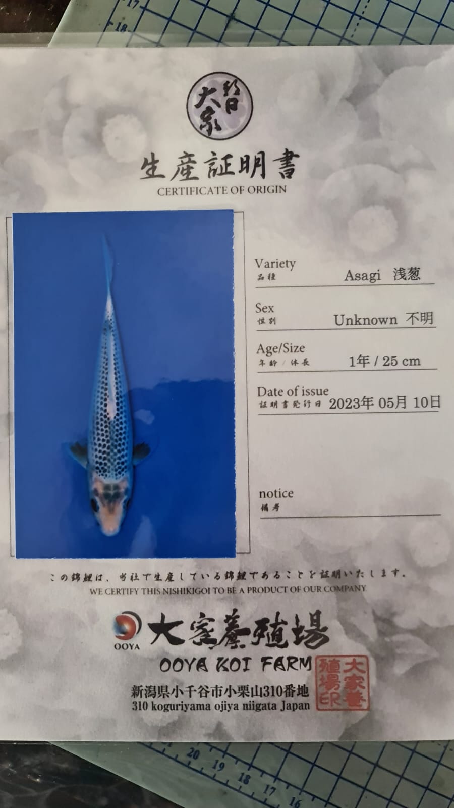 Sertifikat Ikan