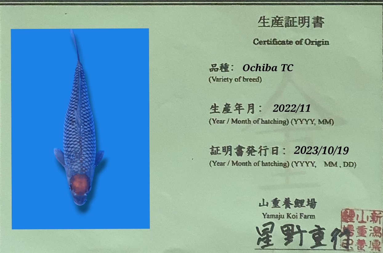 Sertifikat Ikan