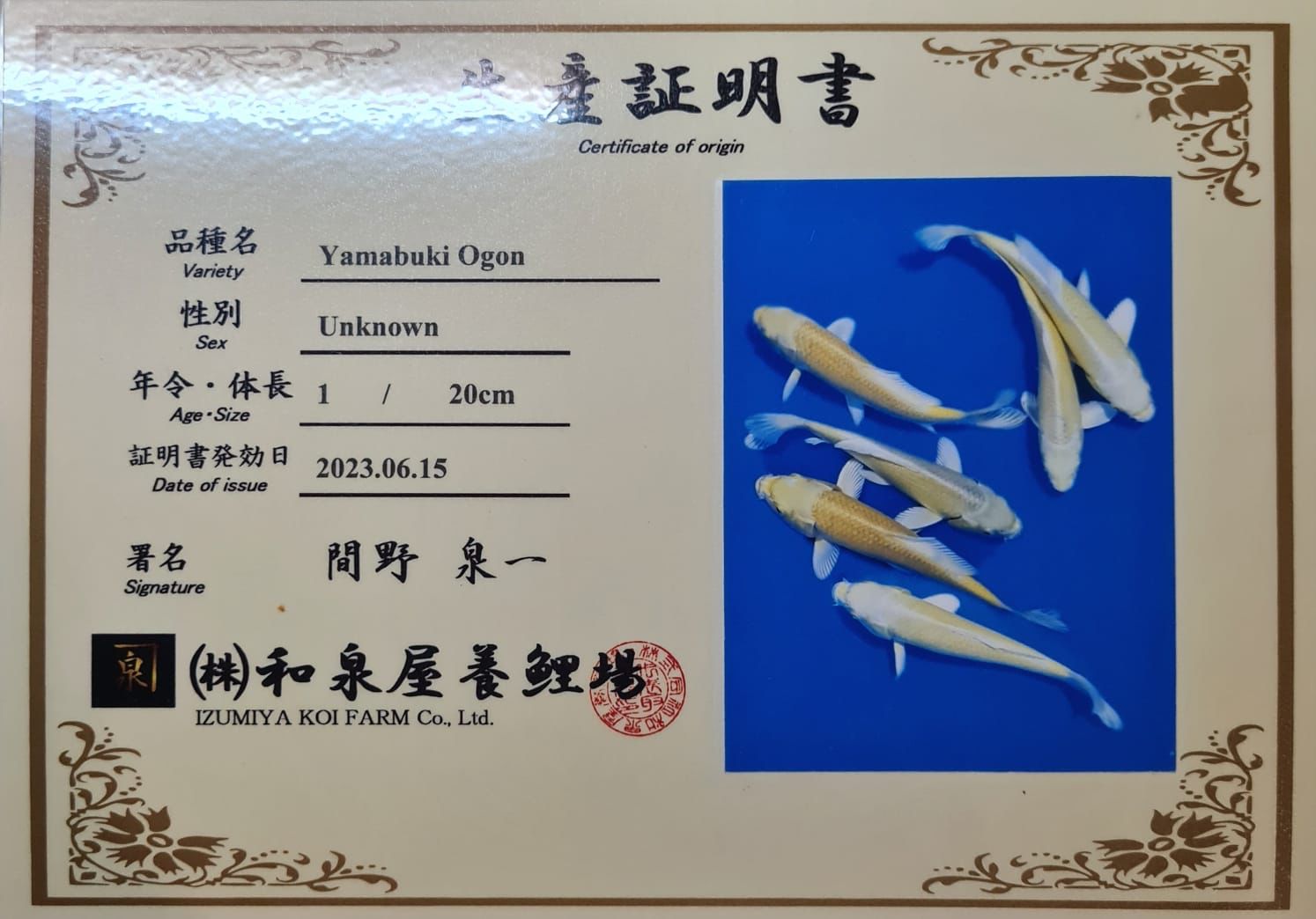 Sertifikat Ikan