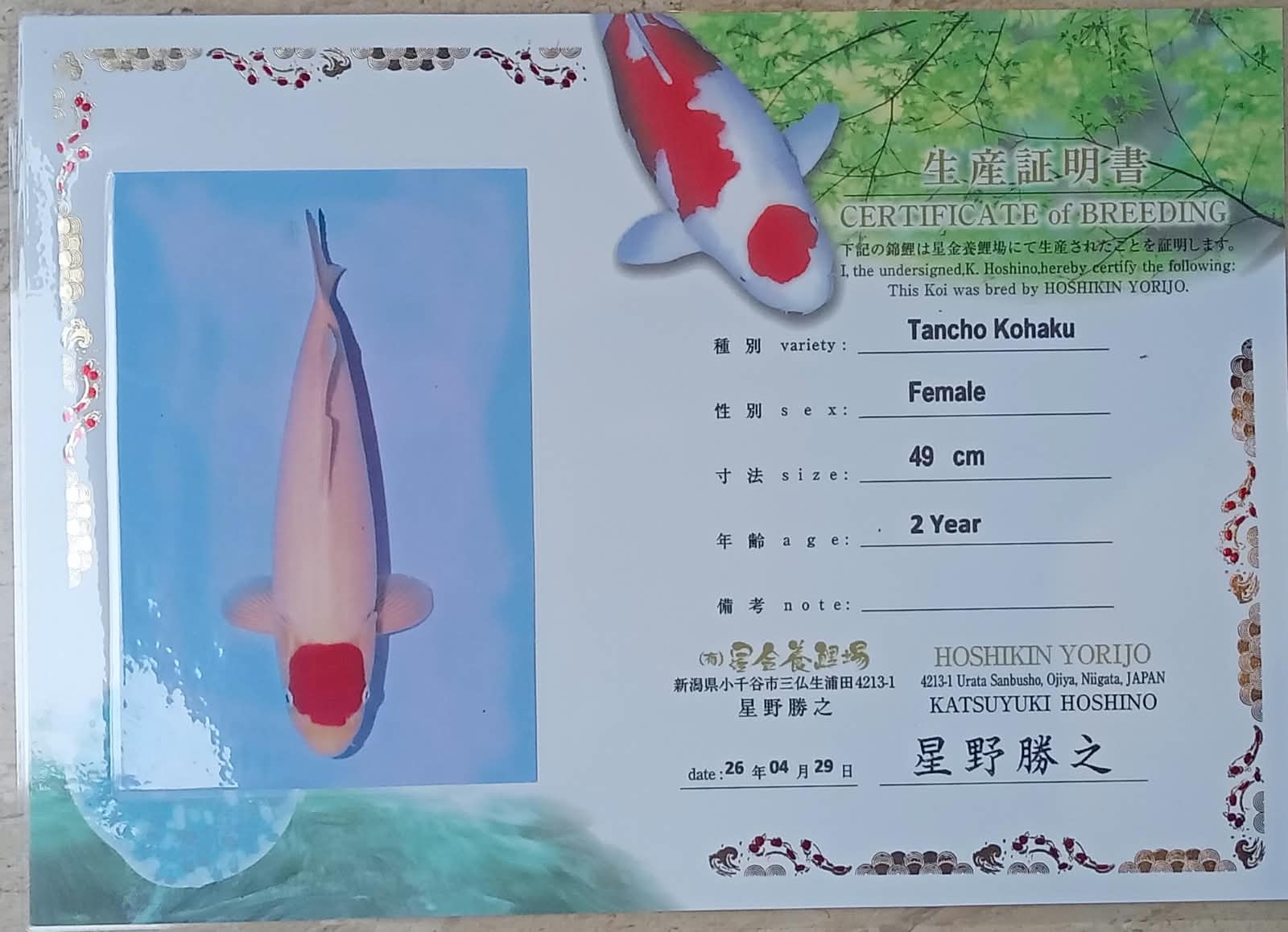 Sertifikat Ikan