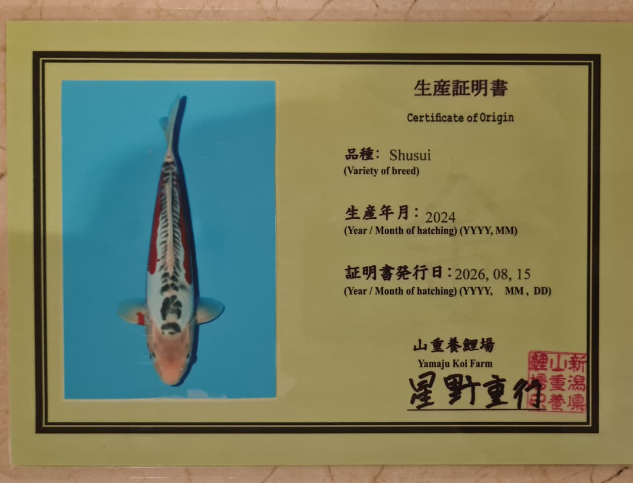 Sertifikat Ikan