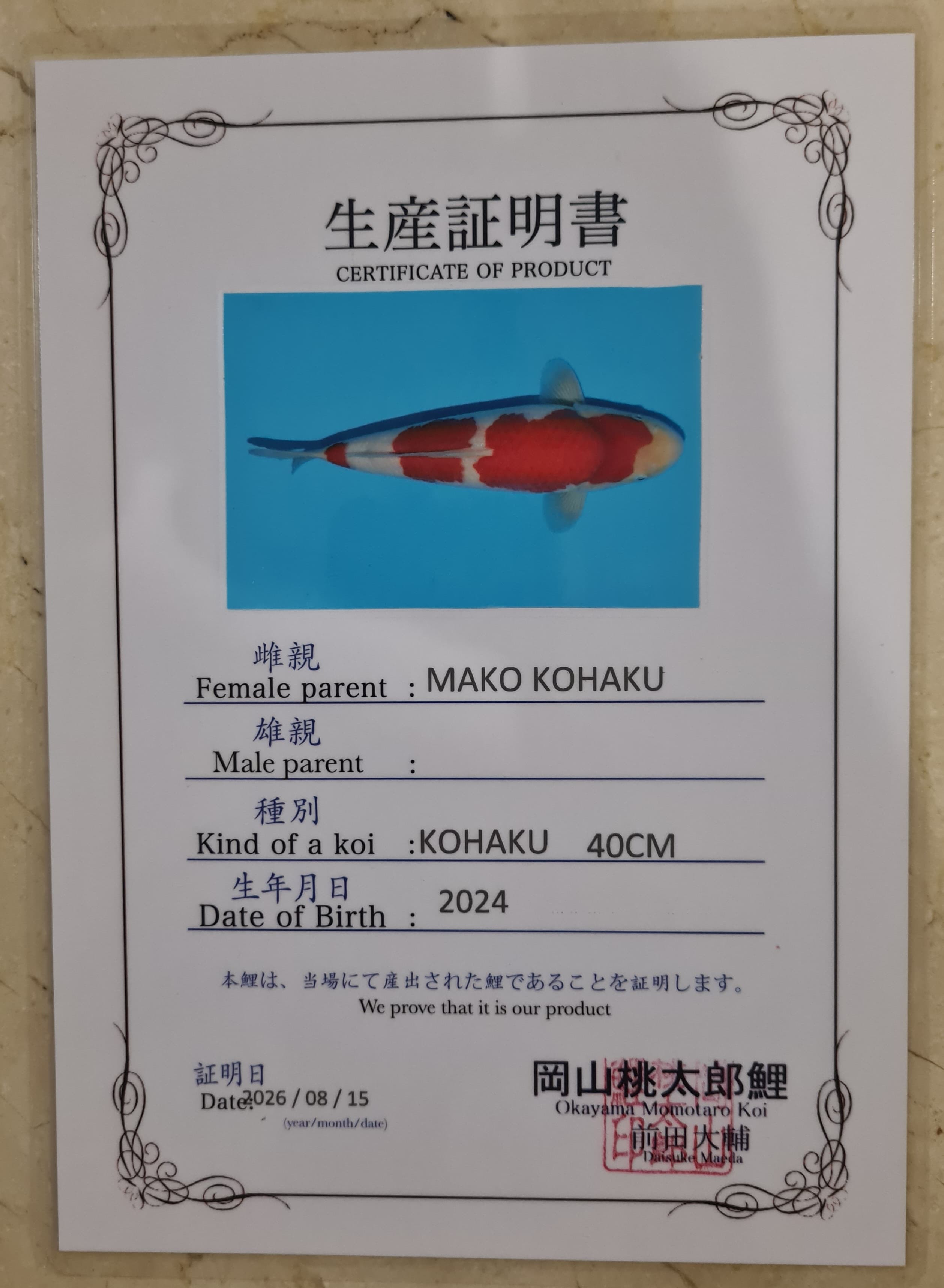 Sertifikat Ikan