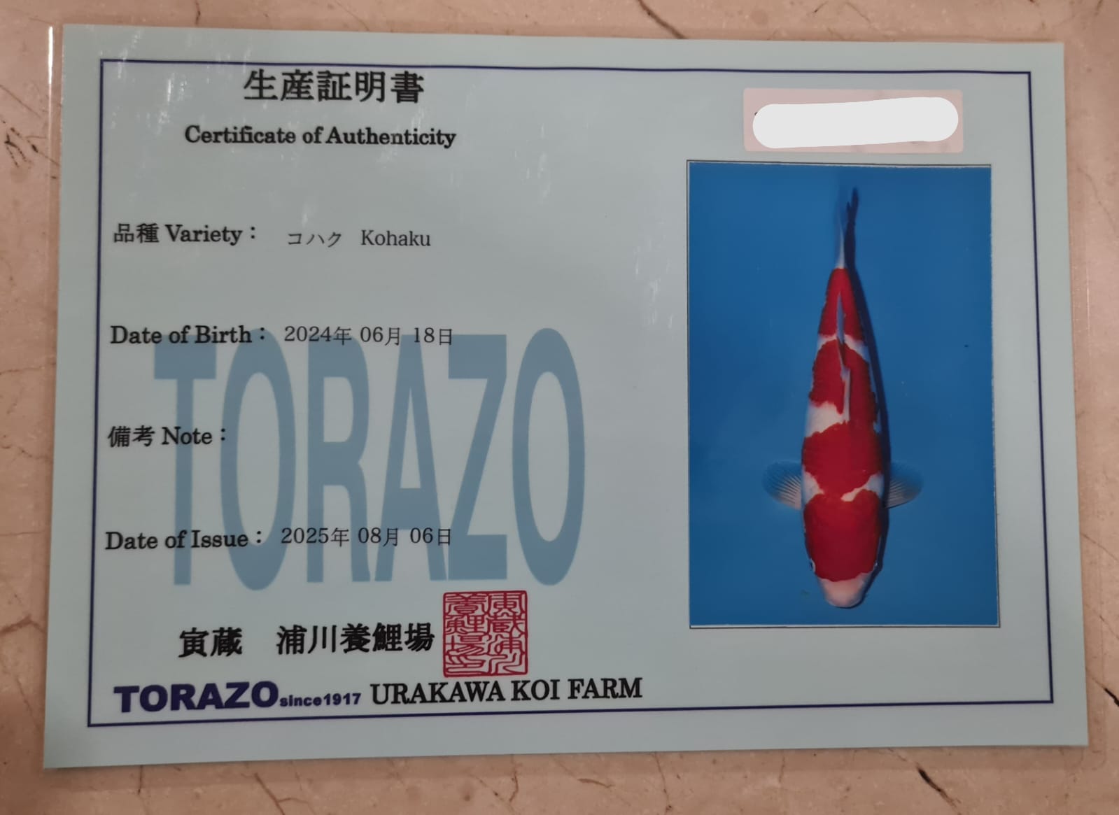 Sertifikat Ikan