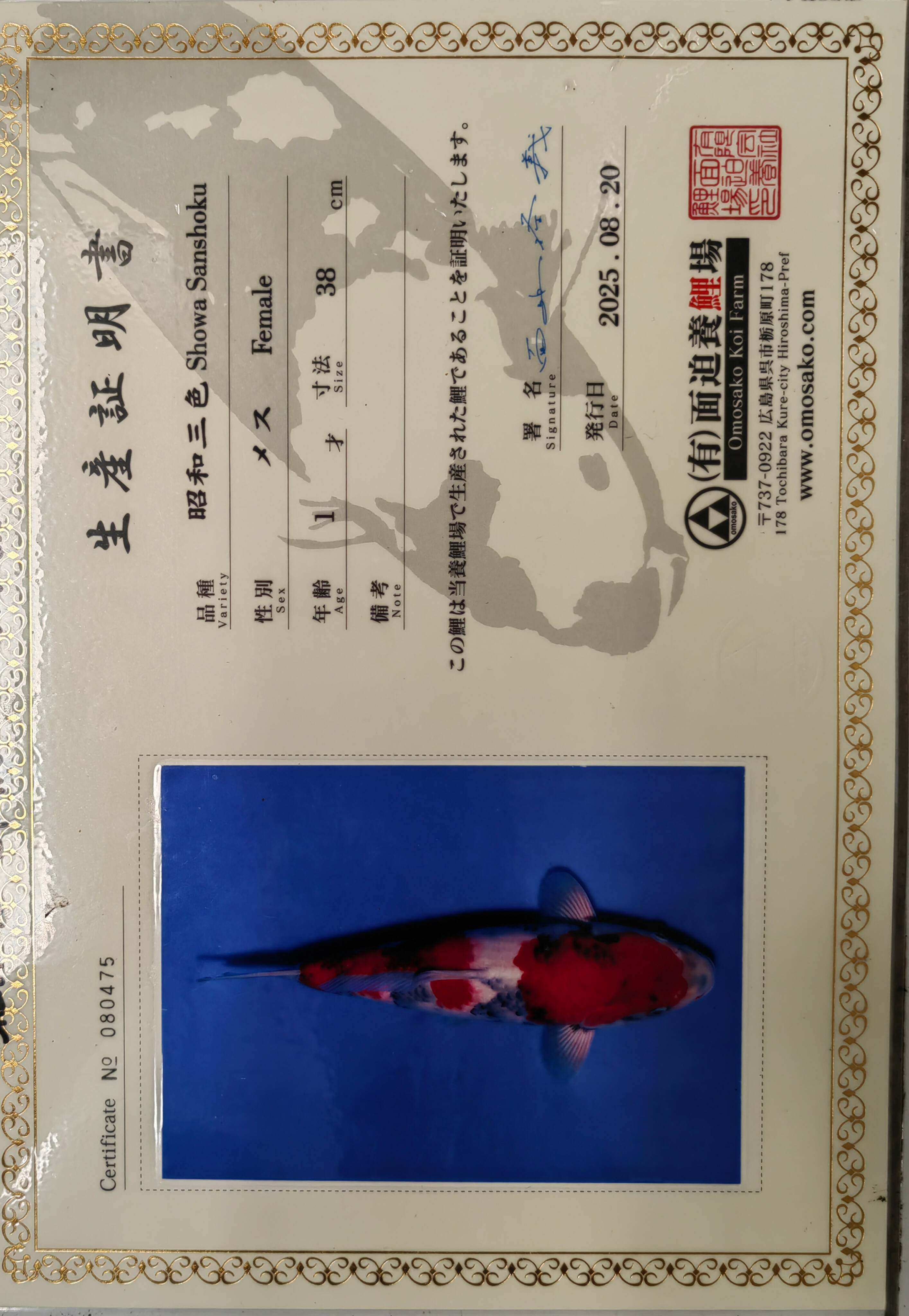 Sertifikat Ikan
