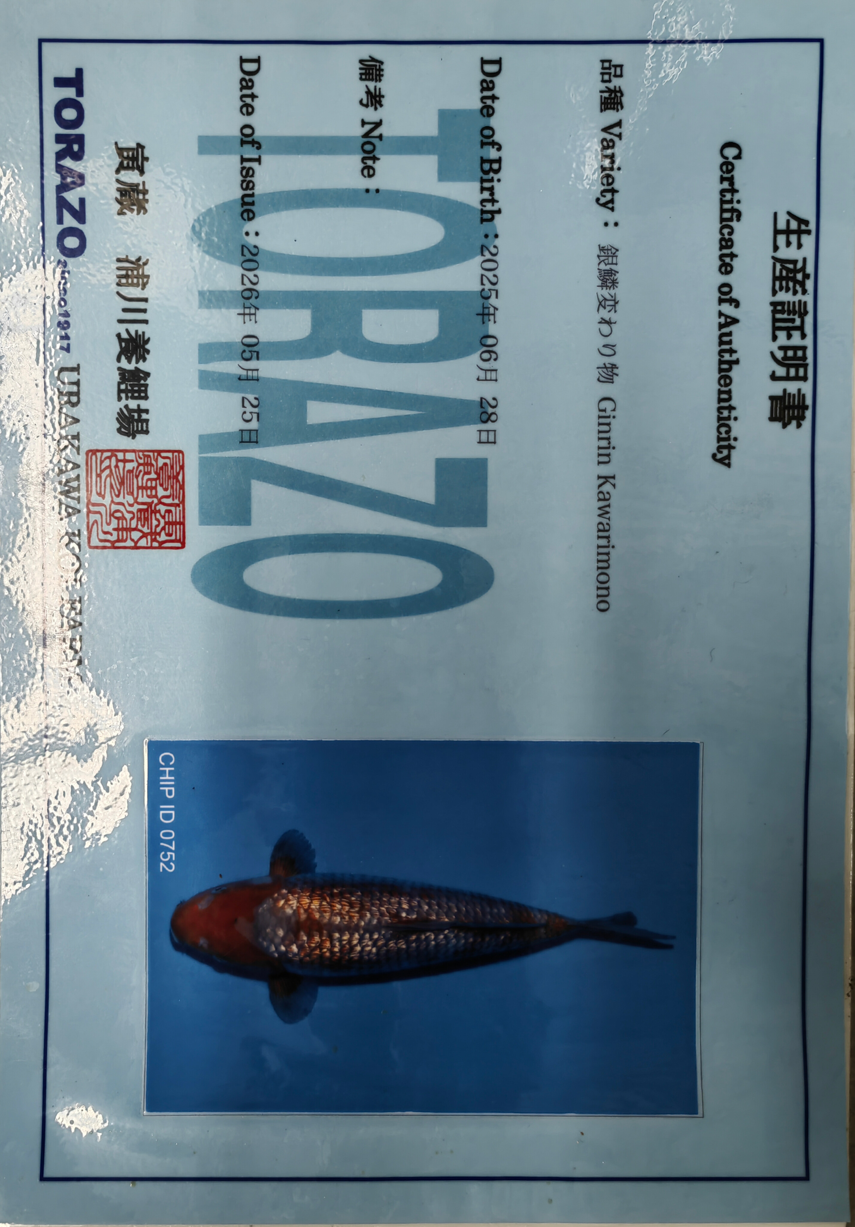 Sertifikat Ikan