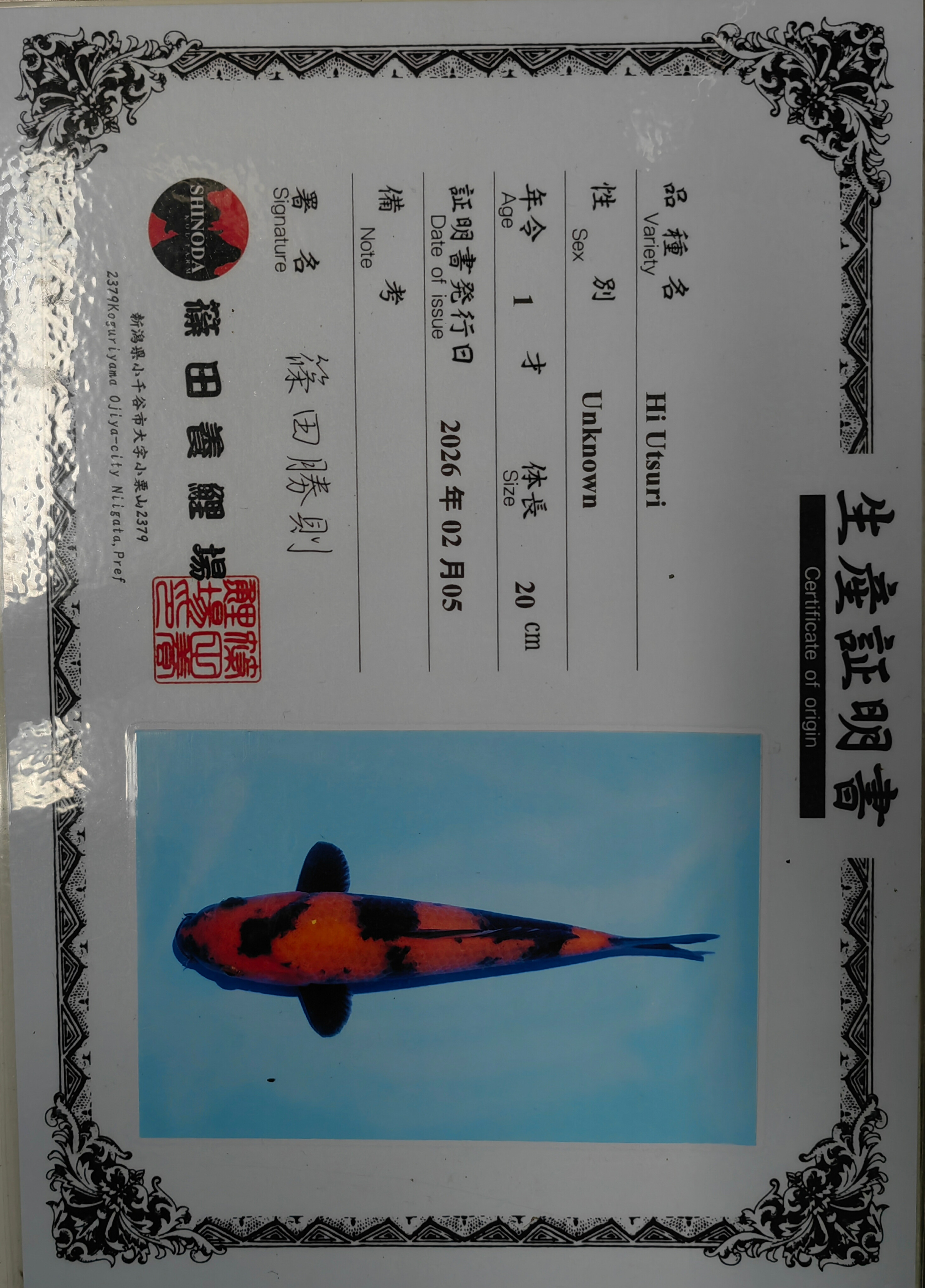 Sertifikat Ikan