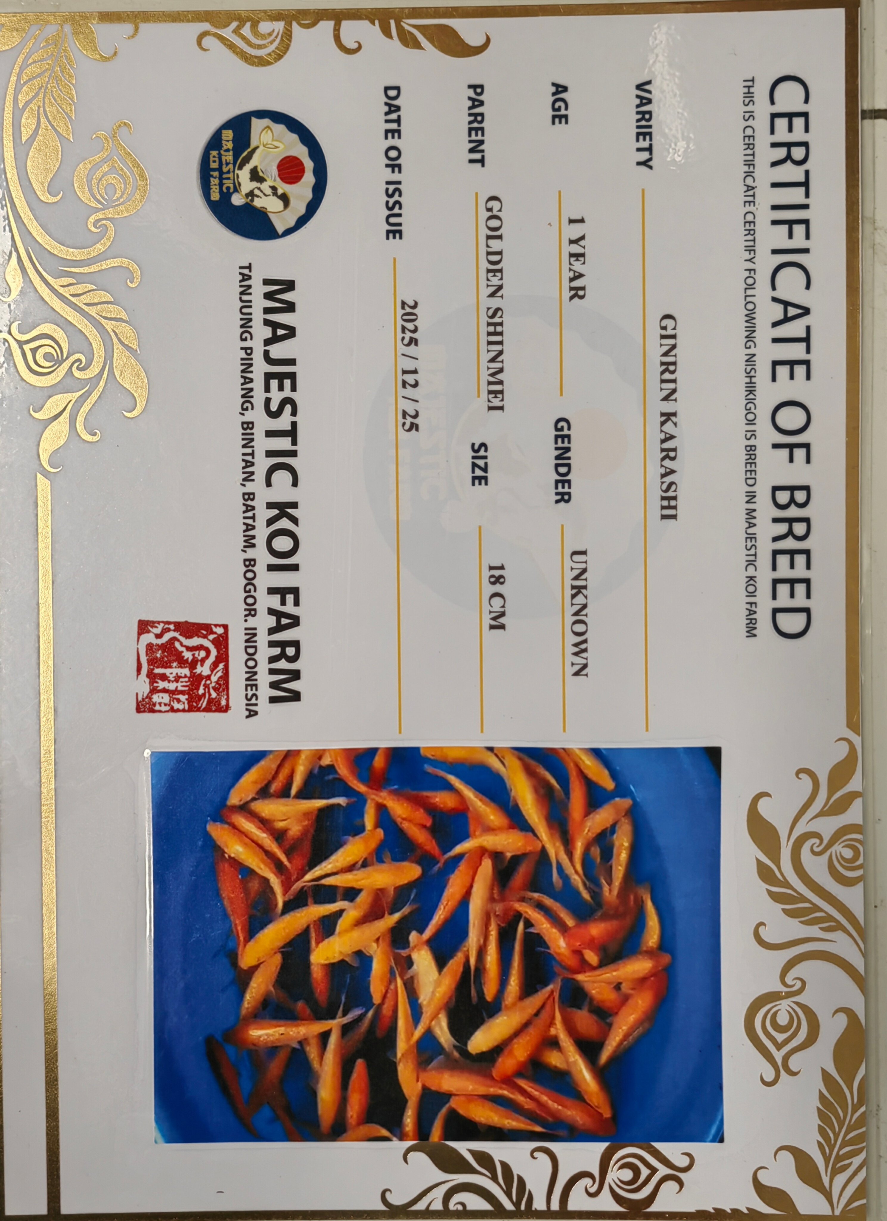 Sertifikat Ikan
