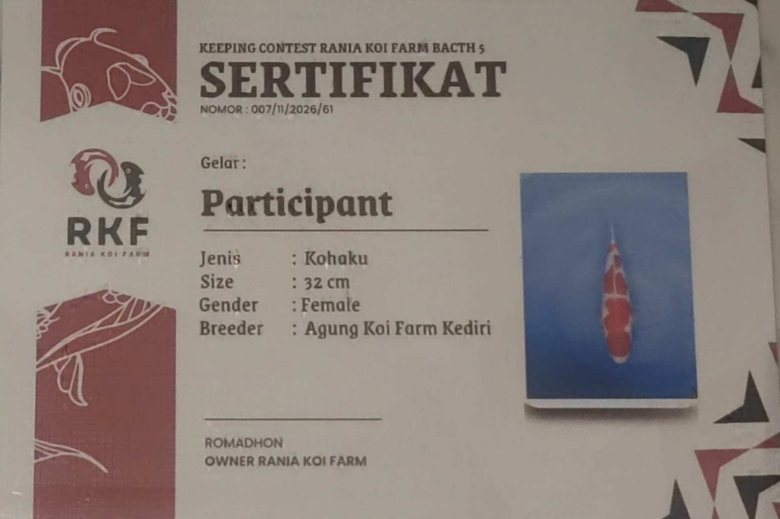 Sertifikat Ikan