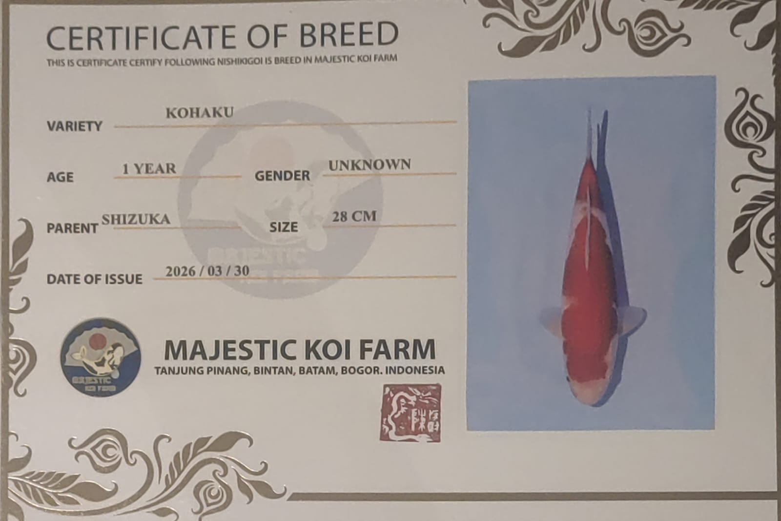Sertifikat Ikan