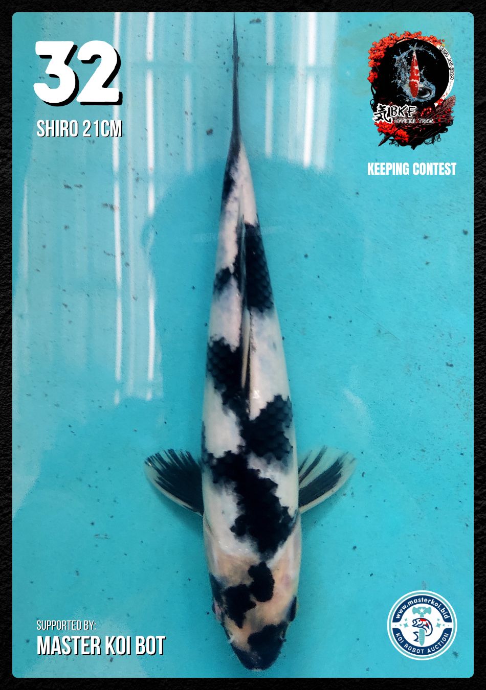 Lelang Koi Online, Jual Beli Ikan Koi, Pusat Jual Beli Koi, Info Lelang Koi Hari Ini, Platform Jual Beli Koi, Jual Beli Ikan Koi Online, Marketplace Ikan Koi, Jual Koi Terbaik, Tempat Beli Koi Berkualitas, Pasar Ikan Koi Online Terpercaya, Penjual Ikan Koi Terpercaya, Beli Koi Hias Online, Ikan Koi untuk Dijual, Koi Kualitas Terbaik, Toko Online Ikan Koi, Koi Hias Untuk Dijual, Jual Beli Ikan Koi Lokal, Koi Indonesia Online, Pusat Jual Beli Koi Terbesar