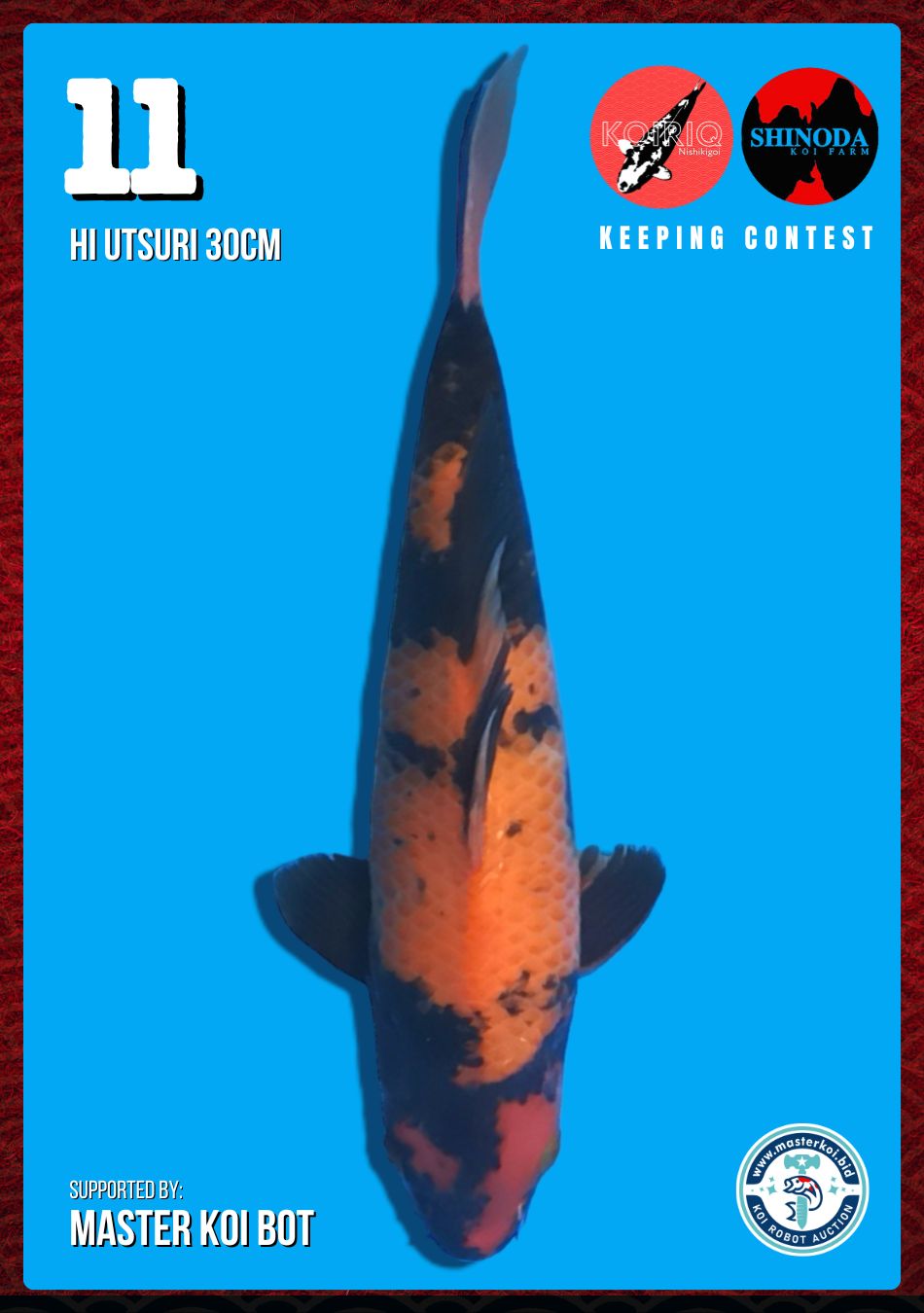 Lelang Koi Online, Jual Beli Ikan Koi, Pusat Jual Beli Koi, Info Lelang Koi Hari Ini, Platform Jual Beli Koi, Jual Beli Ikan Koi Online, Marketplace Ikan Koi, Jual Koi Terbaik, Tempat Beli Koi Berkualitas, Pasar Ikan Koi Online Terpercaya, Penjual Ikan Koi Terpercaya, Beli Koi Hias Online, Ikan Koi untuk Dijual, Koi Kualitas Terbaik, Toko Online Ikan Koi, Koi Hias Untuk Dijual, Jual Beli Ikan Koi Lokal, Koi Indonesia Online, Pusat Jual Beli Koi Terbesar