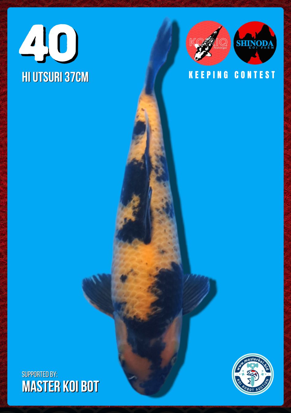 Lelang Koi Online, Jual Beli Ikan Koi, Pusat Jual Beli Koi, Info Lelang Koi Hari Ini, Platform Jual Beli Koi, Jual Beli Ikan Koi Online, Marketplace Ikan Koi, Jual Koi Terbaik, Tempat Beli Koi Berkualitas, Pasar Ikan Koi Online Terpercaya, Penjual Ikan Koi Terpercaya, Beli Koi Hias Online, Ikan Koi untuk Dijual, Koi Kualitas Terbaik, Toko Online Ikan Koi, Koi Hias Untuk Dijual, Jual Beli Ikan Koi Lokal, Koi Indonesia Online, Pusat Jual Beli Koi Terbesar