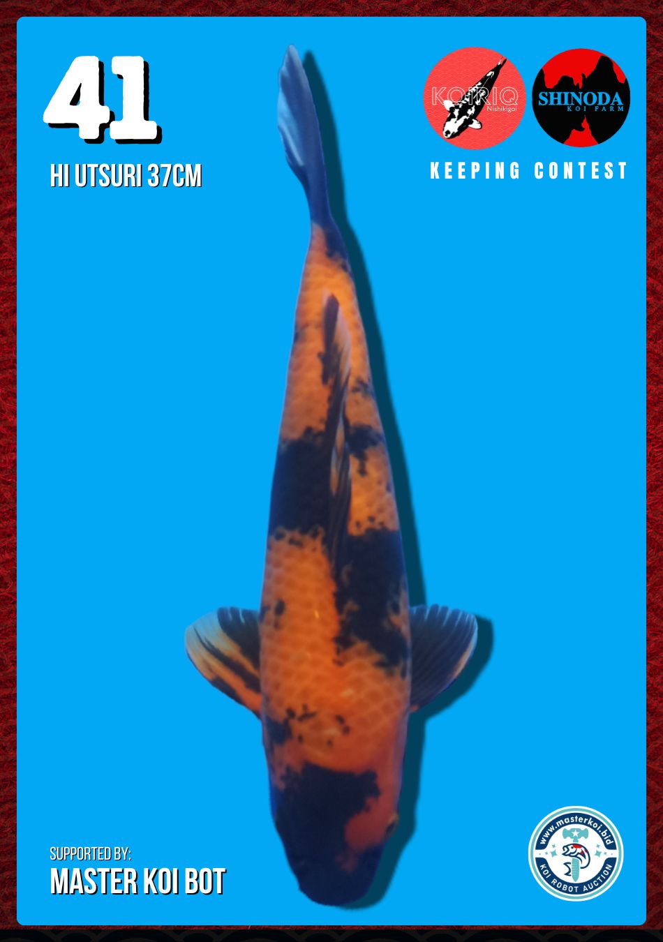 Lelang Koi Online, Jual Beli Ikan Koi, Pusat Jual Beli Koi, Info Lelang Koi Hari Ini, Platform Jual Beli Koi, Jual Beli Ikan Koi Online, Marketplace Ikan Koi, Jual Koi Terbaik, Tempat Beli Koi Berkualitas, Pasar Ikan Koi Online Terpercaya, Penjual Ikan Koi Terpercaya, Beli Koi Hias Online, Ikan Koi untuk Dijual, Koi Kualitas Terbaik, Toko Online Ikan Koi, Koi Hias Untuk Dijual, Jual Beli Ikan Koi Lokal, Koi Indonesia Online, Pusat Jual Beli Koi Terbesar