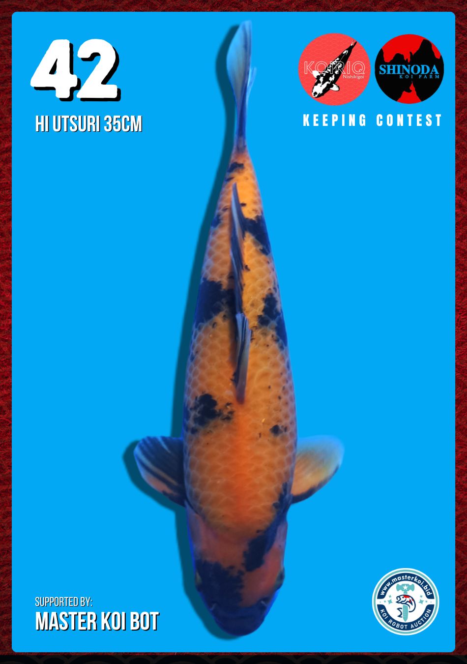 Lelang Koi Online, Jual Beli Ikan Koi, Pusat Jual Beli Koi, Info Lelang Koi Hari Ini, Platform Jual Beli Koi, Jual Beli Ikan Koi Online, Marketplace Ikan Koi, Jual Koi Terbaik, Tempat Beli Koi Berkualitas, Pasar Ikan Koi Online Terpercaya, Penjual Ikan Koi Terpercaya, Beli Koi Hias Online, Ikan Koi untuk Dijual, Koi Kualitas Terbaik, Toko Online Ikan Koi, Koi Hias Untuk Dijual, Jual Beli Ikan Koi Lokal, Koi Indonesia Online, Pusat Jual Beli Koi Terbesar