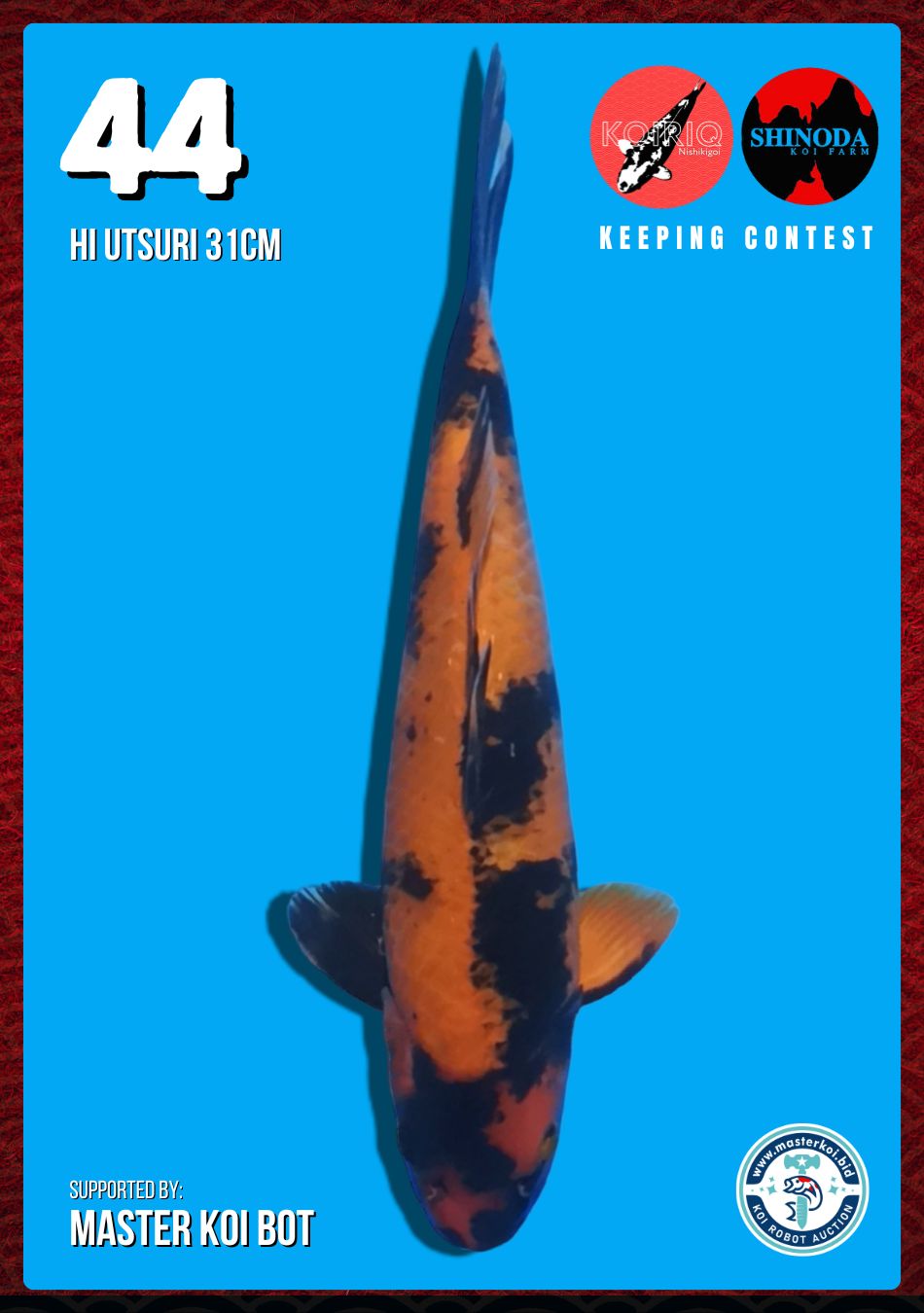 Lelang Koi Online, Jual Beli Ikan Koi, Pusat Jual Beli Koi, Info Lelang Koi Hari Ini, Platform Jual Beli Koi, Jual Beli Ikan Koi Online, Marketplace Ikan Koi, Jual Koi Terbaik, Tempat Beli Koi Berkualitas, Pasar Ikan Koi Online Terpercaya, Penjual Ikan Koi Terpercaya, Beli Koi Hias Online, Ikan Koi untuk Dijual, Koi Kualitas Terbaik, Toko Online Ikan Koi, Koi Hias Untuk Dijual, Jual Beli Ikan Koi Lokal, Koi Indonesia Online, Pusat Jual Beli Koi Terbesar