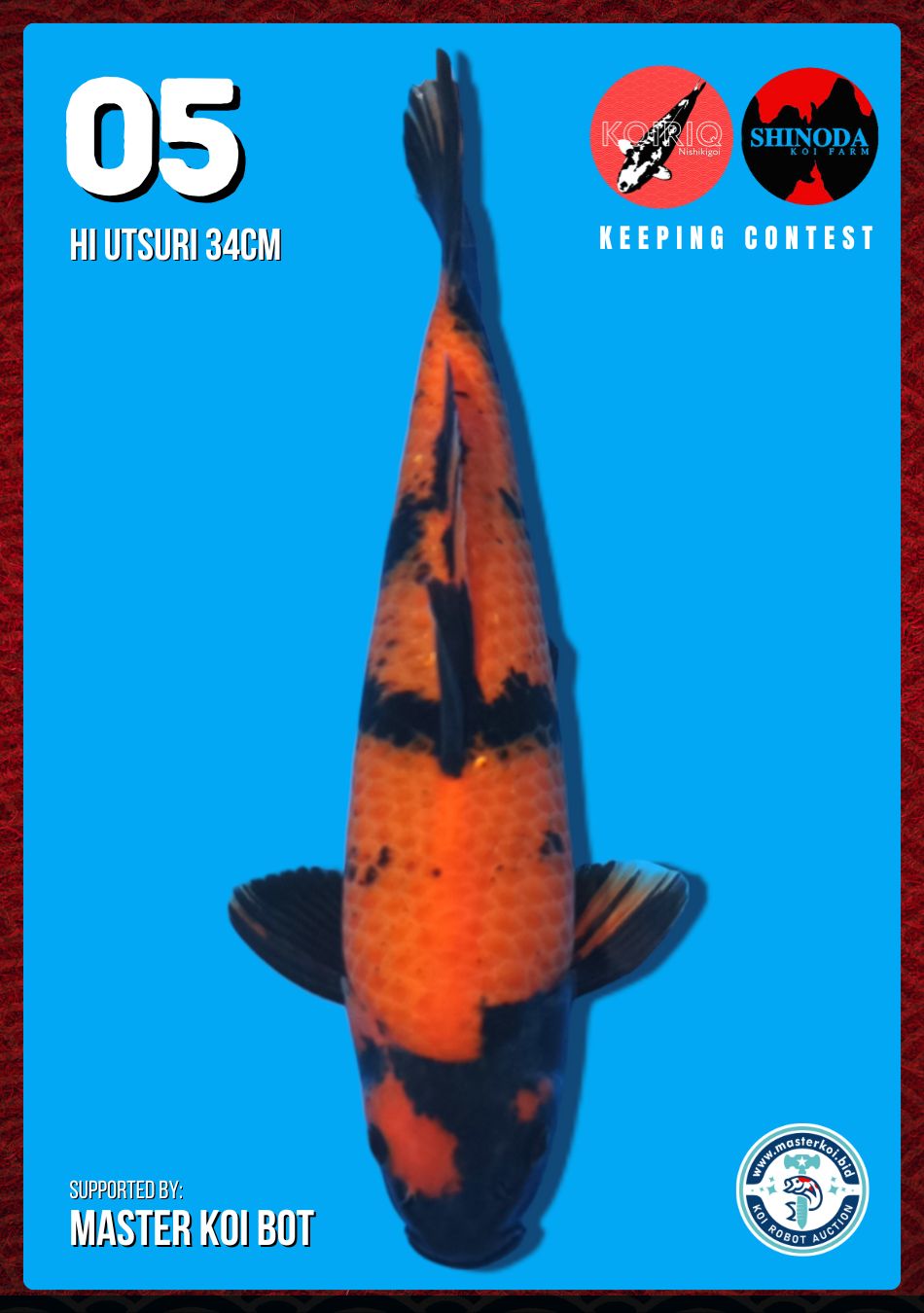 Lelang Koi Online, Jual Beli Ikan Koi, Pusat Jual Beli Koi, Info Lelang Koi Hari Ini, Platform Jual Beli Koi, Jual Beli Ikan Koi Online, Marketplace Ikan Koi, Jual Koi Terbaik, Tempat Beli Koi Berkualitas, Pasar Ikan Koi Online Terpercaya, Penjual Ikan Koi Terpercaya, Beli Koi Hias Online, Ikan Koi untuk Dijual, Koi Kualitas Terbaik, Toko Online Ikan Koi, Koi Hias Untuk Dijual, Jual Beli Ikan Koi Lokal, Koi Indonesia Online, Pusat Jual Beli Koi Terbesar