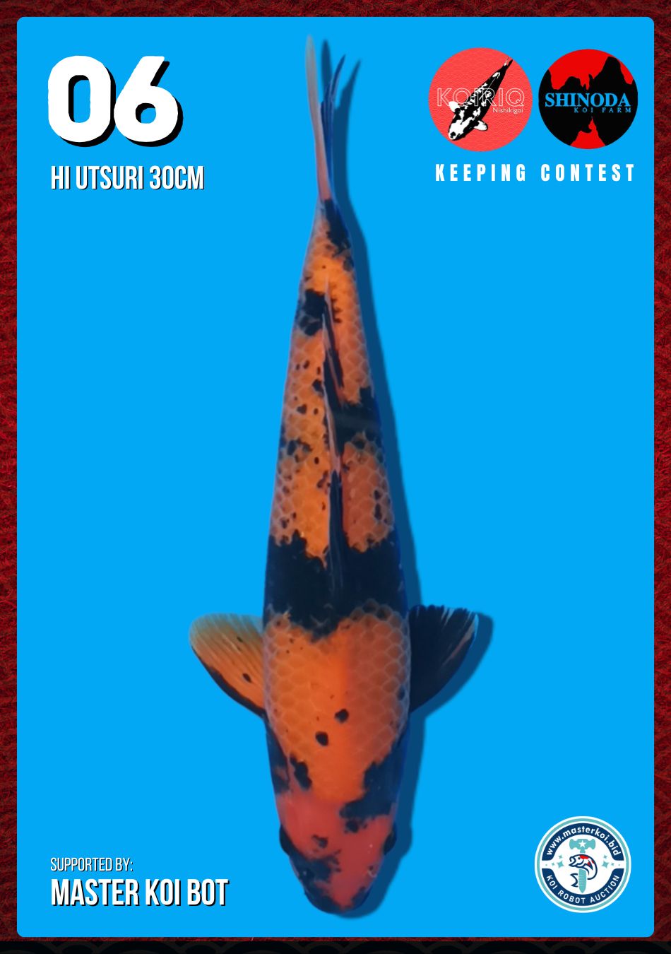 Lelang Koi Online, Jual Beli Ikan Koi, Pusat Jual Beli Koi, Info Lelang Koi Hari Ini, Platform Jual Beli Koi, Jual Beli Ikan Koi Online, Marketplace Ikan Koi, Jual Koi Terbaik, Tempat Beli Koi Berkualitas, Pasar Ikan Koi Online Terpercaya, Penjual Ikan Koi Terpercaya, Beli Koi Hias Online, Ikan Koi untuk Dijual, Koi Kualitas Terbaik, Toko Online Ikan Koi, Koi Hias Untuk Dijual, Jual Beli Ikan Koi Lokal, Koi Indonesia Online, Pusat Jual Beli Koi Terbesar