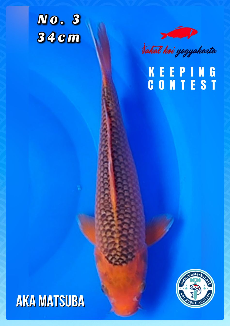 Lelang Koi Online, Jual Beli Ikan Koi, Pusat Jual Beli Koi, Info Lelang Koi Hari Ini, Platform Jual Beli Koi, Jual Beli Ikan Koi Online, Marketplace Ikan Koi, Jual Koi Terbaik, Tempat Beli Koi Berkualitas, Pasar Ikan Koi Online Terpercaya, Penjual Ikan Koi Terpercaya, Beli Koi Hias Online, Ikan Koi untuk Dijual, Koi Kualitas Terbaik, Toko Online Ikan Koi, Koi Hias Untuk Dijual, Jual Beli Ikan Koi Lokal, Koi Indonesia Online, Pusat Jual Beli Koi Terbesar