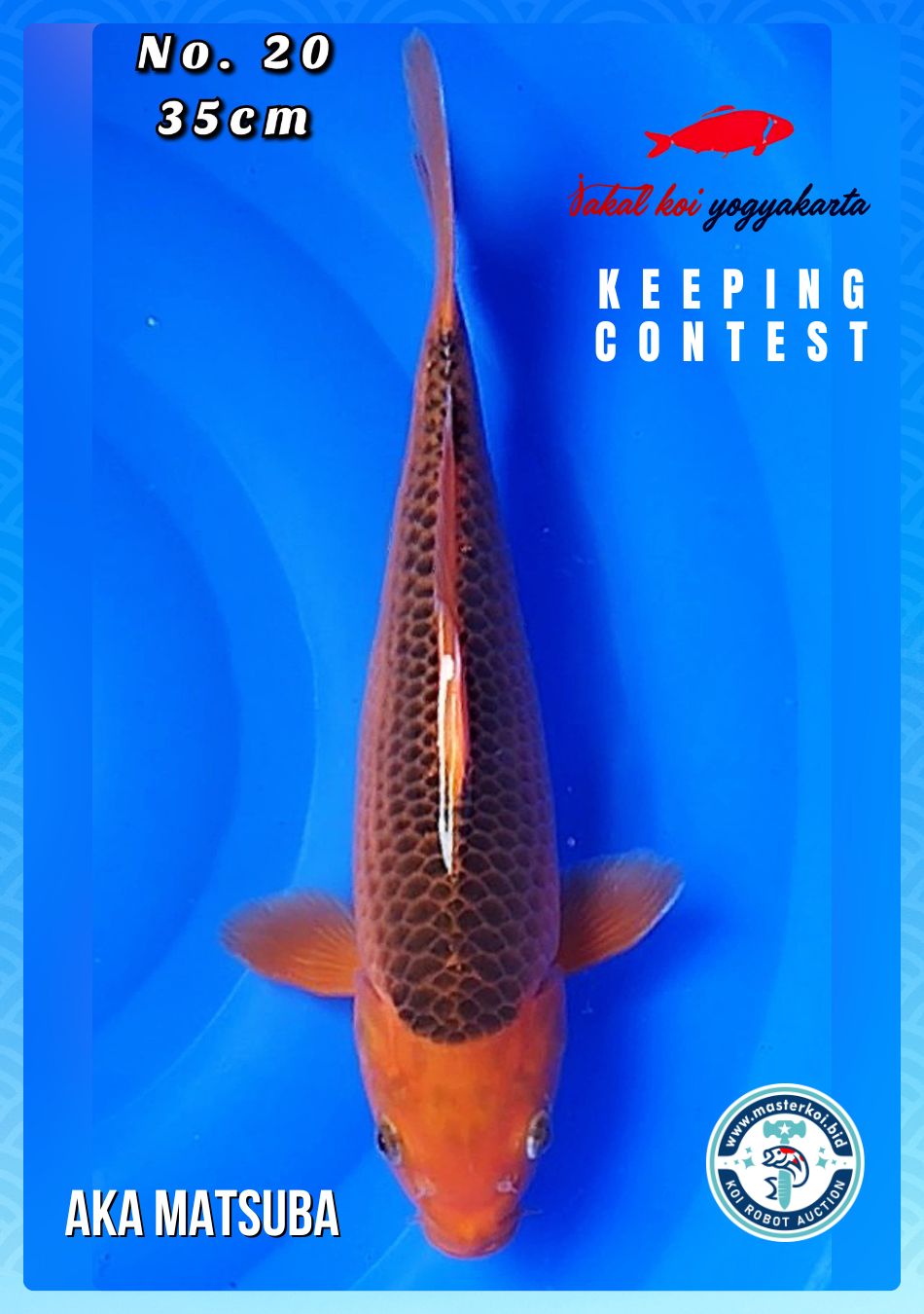 Lelang Koi Online, Jual Beli Ikan Koi, Pusat Jual Beli Koi, Info Lelang Koi Hari Ini, Platform Jual Beli Koi, Jual Beli Ikan Koi Online, Marketplace Ikan Koi, Jual Koi Terbaik, Tempat Beli Koi Berkualitas, Pasar Ikan Koi Online Terpercaya, Penjual Ikan Koi Terpercaya, Beli Koi Hias Online, Ikan Koi untuk Dijual, Koi Kualitas Terbaik, Toko Online Ikan Koi, Koi Hias Untuk Dijual, Jual Beli Ikan Koi Lokal, Koi Indonesia Online, Pusat Jual Beli Koi Terbesar