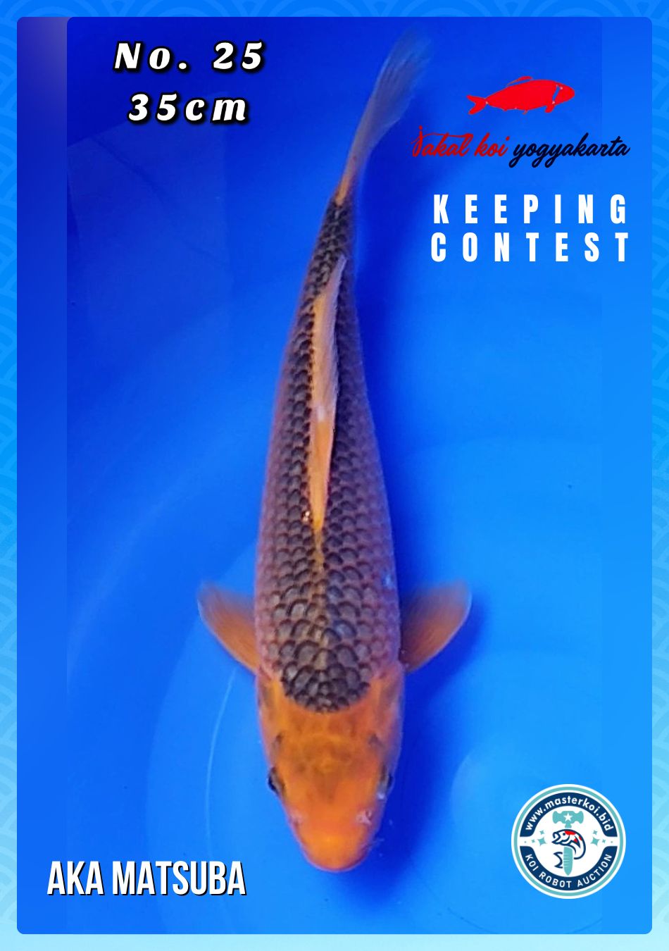 Lelang Koi Online, Jual Beli Ikan Koi, Pusat Jual Beli Koi, Info Lelang Koi Hari Ini, Platform Jual Beli Koi, Jual Beli Ikan Koi Online, Marketplace Ikan Koi, Jual Koi Terbaik, Tempat Beli Koi Berkualitas, Pasar Ikan Koi Online Terpercaya, Penjual Ikan Koi Terpercaya, Beli Koi Hias Online, Ikan Koi untuk Dijual, Koi Kualitas Terbaik, Toko Online Ikan Koi, Koi Hias Untuk Dijual, Jual Beli Ikan Koi Lokal, Koi Indonesia Online, Pusat Jual Beli Koi Terbesar