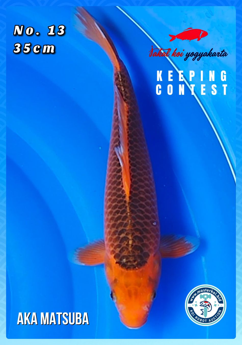 Lelang Koi Online, Jual Beli Ikan Koi, Pusat Jual Beli Koi, Info Lelang Koi Hari Ini, Platform Jual Beli Koi, Jual Beli Ikan Koi Online, Marketplace Ikan Koi, Jual Koi Terbaik, Tempat Beli Koi Berkualitas, Pasar Ikan Koi Online Terpercaya, Penjual Ikan Koi Terpercaya, Beli Koi Hias Online, Ikan Koi untuk Dijual, Koi Kualitas Terbaik, Toko Online Ikan Koi, Koi Hias Untuk Dijual, Jual Beli Ikan Koi Lokal, Koi Indonesia Online, Pusat Jual Beli Koi Terbesar