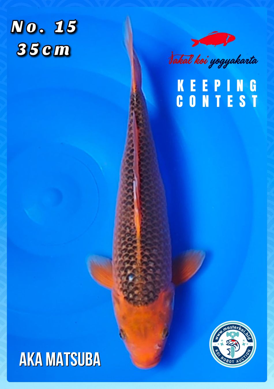 Lelang Koi Online, Jual Beli Ikan Koi, Pusat Jual Beli Koi, Info Lelang Koi Hari Ini, Platform Jual Beli Koi, Jual Beli Ikan Koi Online, Marketplace Ikan Koi, Jual Koi Terbaik, Tempat Beli Koi Berkualitas, Pasar Ikan Koi Online Terpercaya, Penjual Ikan Koi Terpercaya, Beli Koi Hias Online, Ikan Koi untuk Dijual, Koi Kualitas Terbaik, Toko Online Ikan Koi, Koi Hias Untuk Dijual, Jual Beli Ikan Koi Lokal, Koi Indonesia Online, Pusat Jual Beli Koi Terbesar