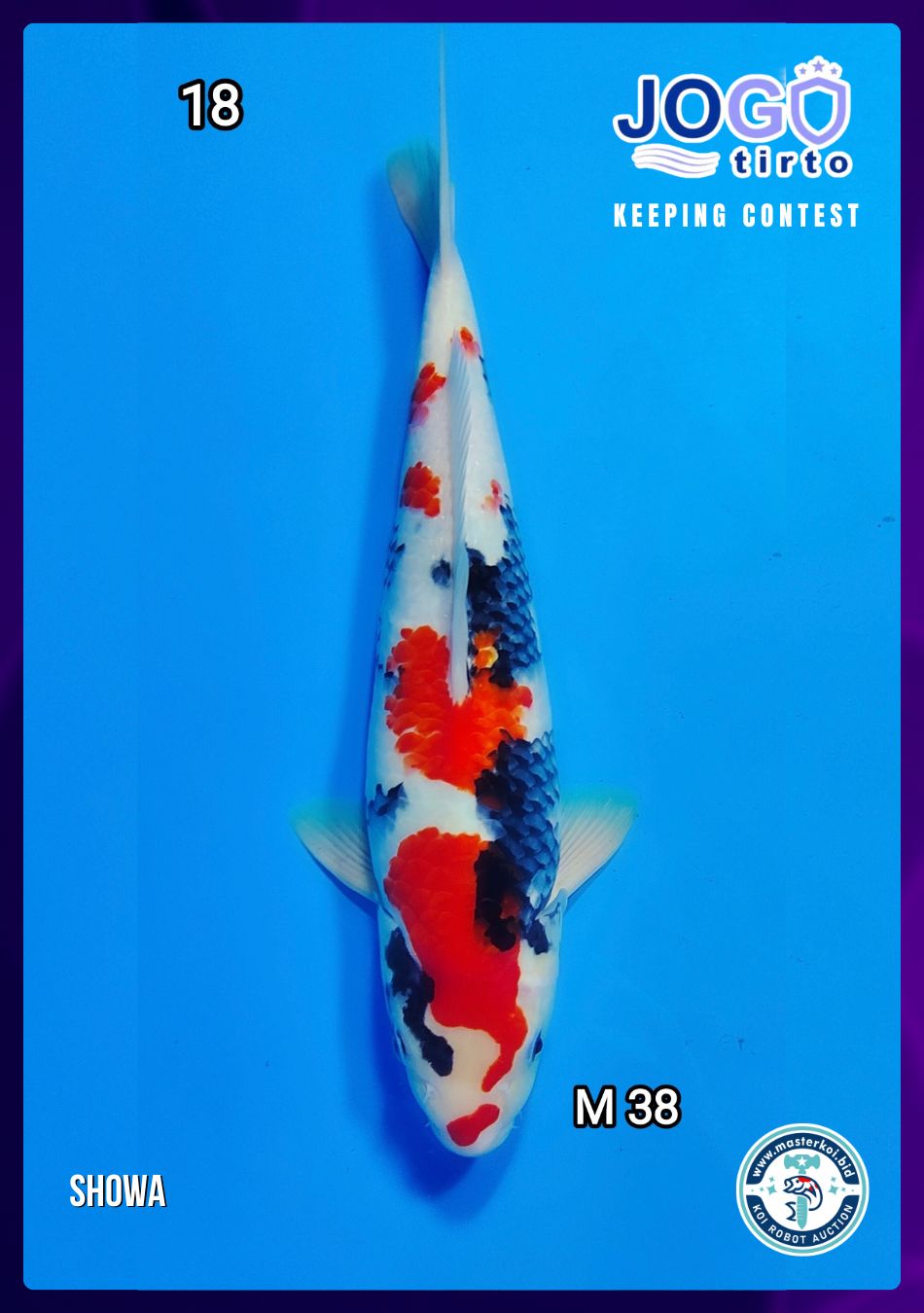 Lelang Koi Online, Jual Beli Ikan Koi, Pusat Jual Beli Koi, Info Lelang Koi Hari Ini, Platform Jual Beli Koi, Jual Beli Ikan Koi Online, Marketplace Ikan Koi, Jual Koi Terbaik, Tempat Beli Koi Berkualitas, Pasar Ikan Koi Online Terpercaya, Penjual Ikan Koi Terpercaya, Beli Koi Hias Online, Ikan Koi untuk Dijual, Koi Kualitas Terbaik, Toko Online Ikan Koi, Koi Hias Untuk Dijual, Jual Beli Ikan Koi Lokal, Koi Indonesia Online, Pusat Jual Beli Koi Terbesar