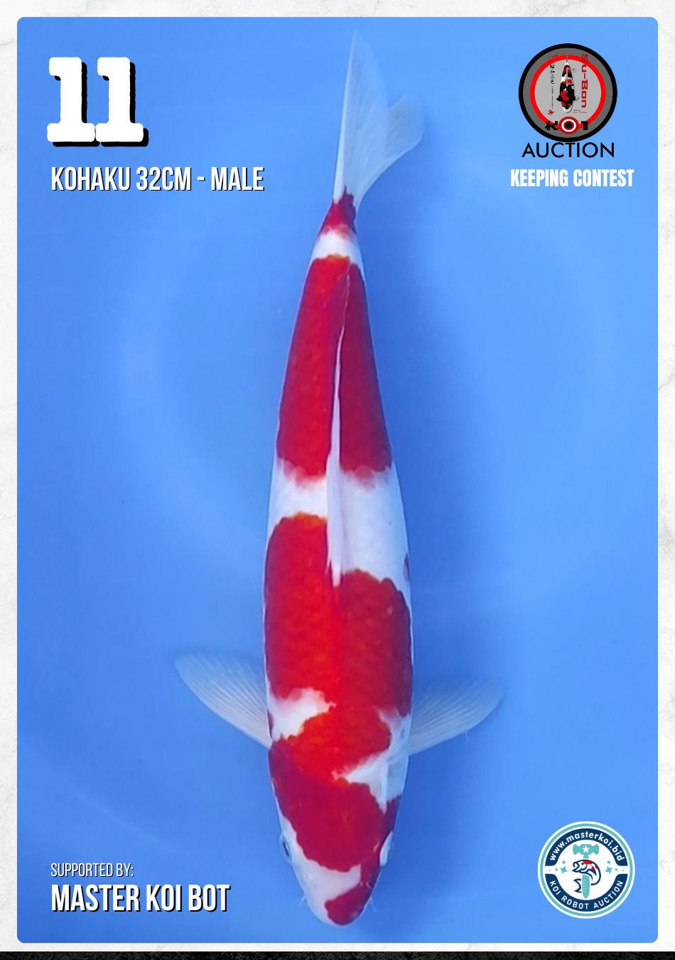 Lelang Koi Online, Jual Beli Ikan Koi, Pusat Jual Beli Koi, Info Lelang Koi Hari Ini, Platform Jual Beli Koi, Jual Beli Ikan Koi Online, Marketplace Ikan Koi, Jual Koi Terbaik, Tempat Beli Koi Berkualitas, Pasar Ikan Koi Online Terpercaya, Penjual Ikan Koi Terpercaya, Beli Koi Hias Online, Ikan Koi untuk Dijual, Koi Kualitas Terbaik, Toko Online Ikan Koi, Koi Hias Untuk Dijual, Jual Beli Ikan Koi Lokal, Koi Indonesia Online, Pusat Jual Beli Koi Terbesar