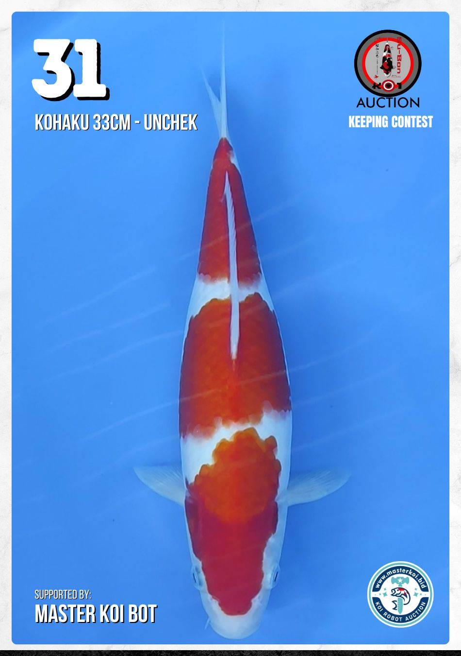 Lelang Koi Online, Jual Beli Ikan Koi, Pusat Jual Beli Koi, Info Lelang Koi Hari Ini, Platform Jual Beli Koi, Jual Beli Ikan Koi Online, Marketplace Ikan Koi, Jual Koi Terbaik, Tempat Beli Koi Berkualitas, Pasar Ikan Koi Online Terpercaya, Penjual Ikan Koi Terpercaya, Beli Koi Hias Online, Ikan Koi untuk Dijual, Koi Kualitas Terbaik, Toko Online Ikan Koi, Koi Hias Untuk Dijual, Jual Beli Ikan Koi Lokal, Koi Indonesia Online, Pusat Jual Beli Koi Terbesar