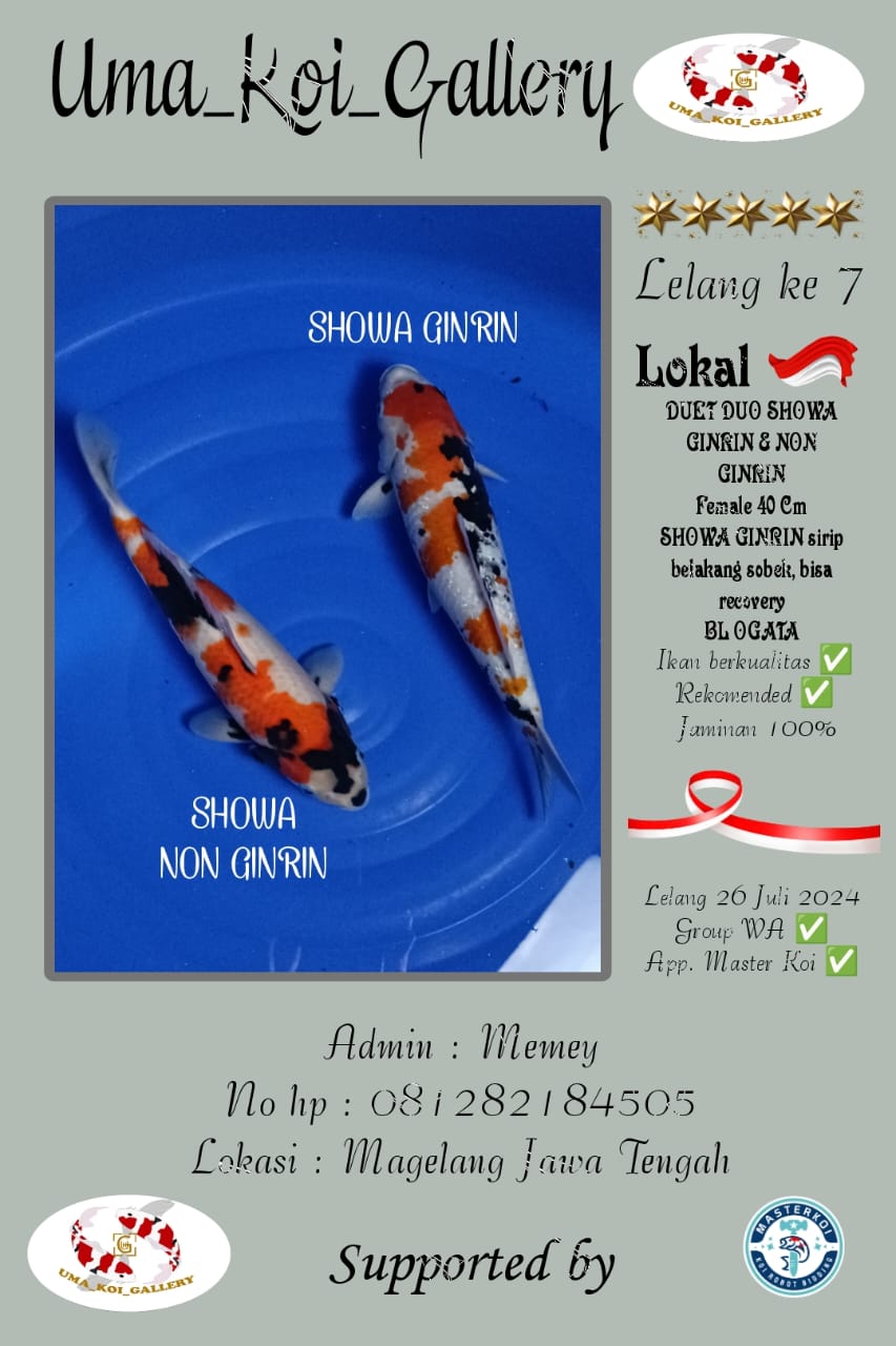 Lelang Koi Online, Jual Beli Ikan Koi, Pusat Jual Beli Koi, Info Lelang Koi Hari Ini, Platform Jual Beli Koi, Jual Beli Ikan Koi Online, Marketplace Ikan Koi, Jual Koi Terbaik, Tempat Beli Koi Berkualitas, Pasar Ikan Koi Online Terpercaya, Penjual Ikan Koi Terpercaya, Beli Koi Hias Online, Ikan Koi untuk Dijual, Koi Kualitas Terbaik, Toko Online Ikan Koi, Koi Hias Untuk Dijual, Jual Beli Ikan Koi Lokal, Koi Indonesia Online, Pusat Jual Beli Koi Terbesar