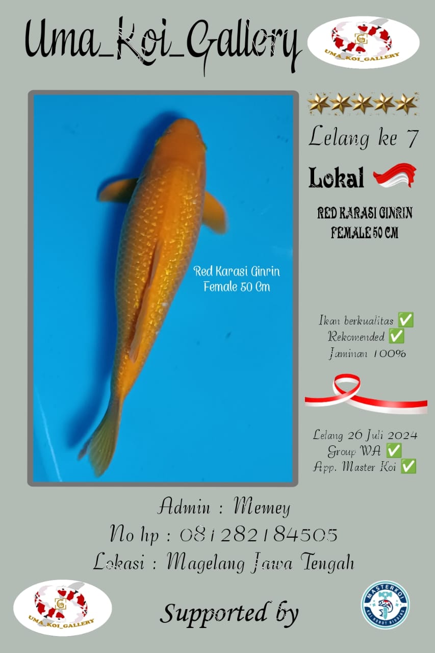 Lelang Koi Online, Jual Beli Ikan Koi, Pusat Jual Beli Koi, Info Lelang Koi Hari Ini, Platform Jual Beli Koi, Jual Beli Ikan Koi Online, Marketplace Ikan Koi, Jual Koi Terbaik, Tempat Beli Koi Berkualitas, Pasar Ikan Koi Online Terpercaya, Penjual Ikan Koi Terpercaya, Beli Koi Hias Online, Ikan Koi untuk Dijual, Koi Kualitas Terbaik, Toko Online Ikan Koi, Koi Hias Untuk Dijual, Jual Beli Ikan Koi Lokal, Koi Indonesia Online, Pusat Jual Beli Koi Terbesar