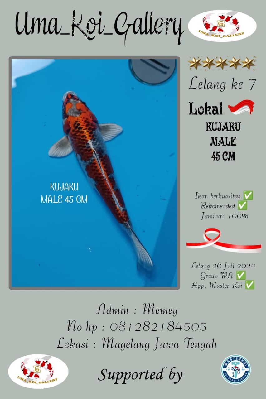 Lelang Koi Online, Jual Beli Ikan Koi, Pusat Jual Beli Koi, Info Lelang Koi Hari Ini, Platform Jual Beli Koi, Jual Beli Ikan Koi Online, Marketplace Ikan Koi, Jual Koi Terbaik, Tempat Beli Koi Berkualitas, Pasar Ikan Koi Online Terpercaya, Penjual Ikan Koi Terpercaya, Beli Koi Hias Online, Ikan Koi untuk Dijual, Koi Kualitas Terbaik, Toko Online Ikan Koi, Koi Hias Untuk Dijual, Jual Beli Ikan Koi Lokal, Koi Indonesia Online, Pusat Jual Beli Koi Terbesar