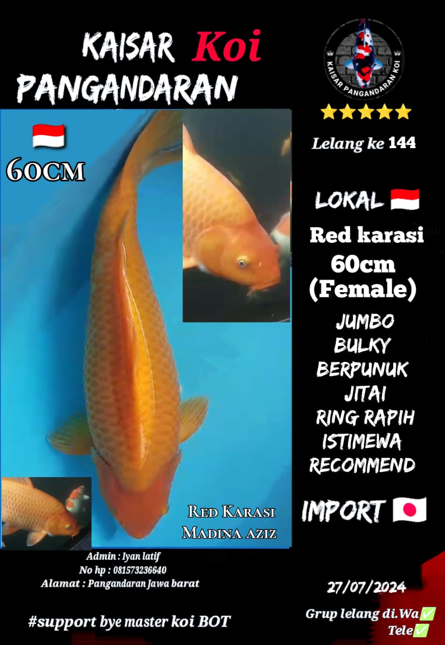 Lelang Koi Online, Jual Beli Ikan Koi, Pusat Jual Beli Koi, Info Lelang Koi Hari Ini, Platform Jual Beli Koi, Jual Beli Ikan Koi Online, Marketplace Ikan Koi, Jual Koi Terbaik, Tempat Beli Koi Berkualitas, Pasar Ikan Koi Online Terpercaya, Penjual Ikan Koi Terpercaya, Beli Koi Hias Online, Ikan Koi untuk Dijual, Koi Kualitas Terbaik, Toko Online Ikan Koi, Koi Hias Untuk Dijual, Jual Beli Ikan Koi Lokal, Koi Indonesia Online, Pusat Jual Beli Koi Terbesar