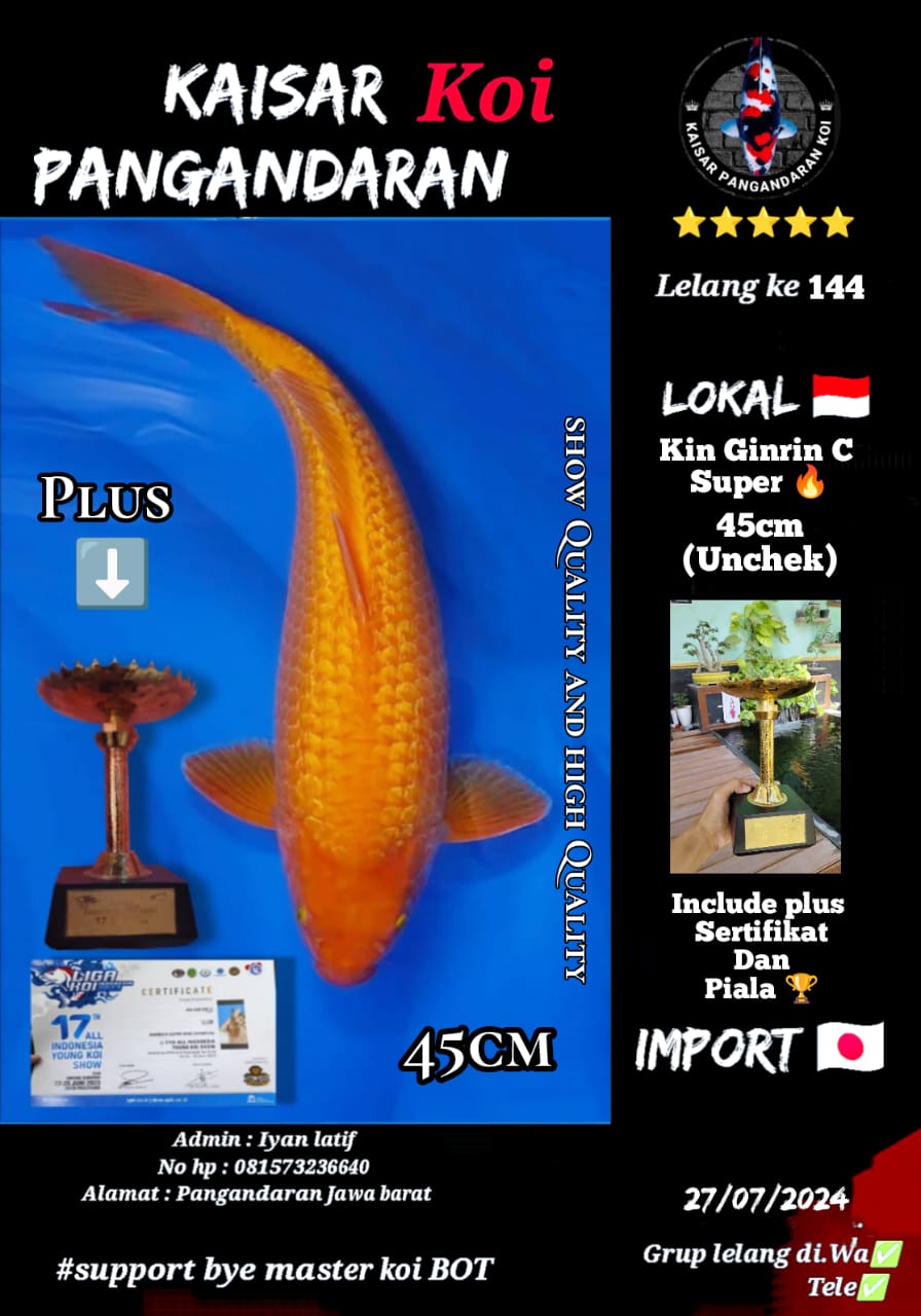 Lelang Koi Online, Jual Beli Ikan Koi, Pusat Jual Beli Koi, Info Lelang Koi Hari Ini, Platform Jual Beli Koi, Jual Beli Ikan Koi Online, Marketplace Ikan Koi, Jual Koi Terbaik, Tempat Beli Koi Berkualitas, Pasar Ikan Koi Online Terpercaya, Penjual Ikan Koi Terpercaya, Beli Koi Hias Online, Ikan Koi untuk Dijual, Koi Kualitas Terbaik, Toko Online Ikan Koi, Koi Hias Untuk Dijual, Jual Beli Ikan Koi Lokal, Koi Indonesia Online, Pusat Jual Beli Koi Terbesar