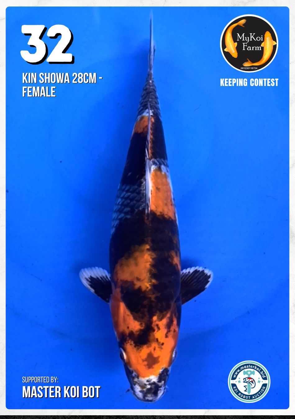 Lelang Koi Online, Jual Beli Ikan Koi, Pusat Jual Beli Koi, Info Lelang Koi Hari Ini, Platform Jual Beli Koi, Jual Beli Ikan Koi Online, Marketplace Ikan Koi, Jual Koi Terbaik, Tempat Beli Koi Berkualitas, Pasar Ikan Koi Online Terpercaya, Penjual Ikan Koi Terpercaya, Beli Koi Hias Online, Ikan Koi untuk Dijual, Koi Kualitas Terbaik, Toko Online Ikan Koi, Koi Hias Untuk Dijual, Jual Beli Ikan Koi Lokal, Koi Indonesia Online, Pusat Jual Beli Koi Terbesar