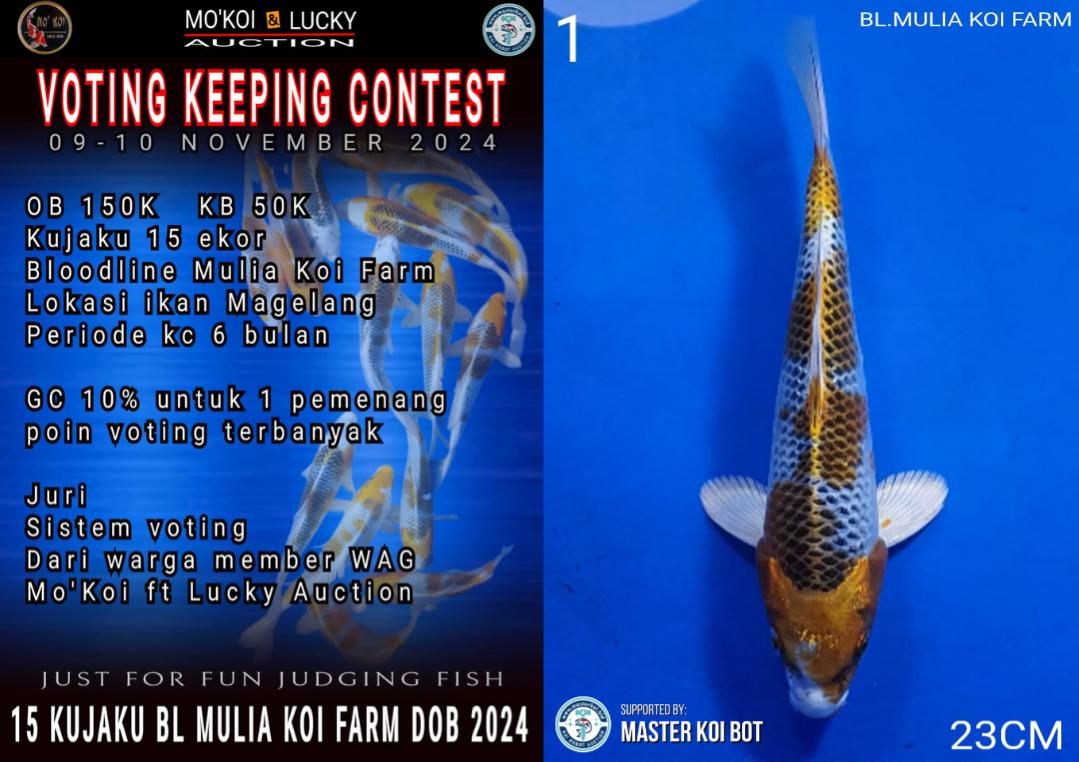 Lelang Koi Online, Jual Beli Ikan Koi, Pusat Jual Beli Koi, Info Lelang Koi Hari Ini, Platform Jual Beli Koi, Jual Beli Ikan Koi Online, Marketplace Ikan Koi, Jual Koi Terbaik, Tempat Beli Koi Berkualitas, Pasar Ikan Koi Online Terpercaya, Penjual Ikan Koi Terpercaya, Beli Koi Hias Online, Ikan Koi untuk Dijual, Koi Kualitas Terbaik, Toko Online Ikan Koi, Koi Hias Untuk Dijual, Jual Beli Ikan Koi Lokal, Koi Indonesia Online, Pusat Jual Beli Koi Terbesar