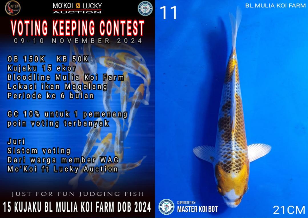 Lelang Koi Online, Jual Beli Ikan Koi, Pusat Jual Beli Koi, Info Lelang Koi Hari Ini, Platform Jual Beli Koi, Jual Beli Ikan Koi Online, Marketplace Ikan Koi, Jual Koi Terbaik, Tempat Beli Koi Berkualitas, Pasar Ikan Koi Online Terpercaya, Penjual Ikan Koi Terpercaya, Beli Koi Hias Online, Ikan Koi untuk Dijual, Koi Kualitas Terbaik, Toko Online Ikan Koi, Koi Hias Untuk Dijual, Jual Beli Ikan Koi Lokal, Koi Indonesia Online, Pusat Jual Beli Koi Terbesar