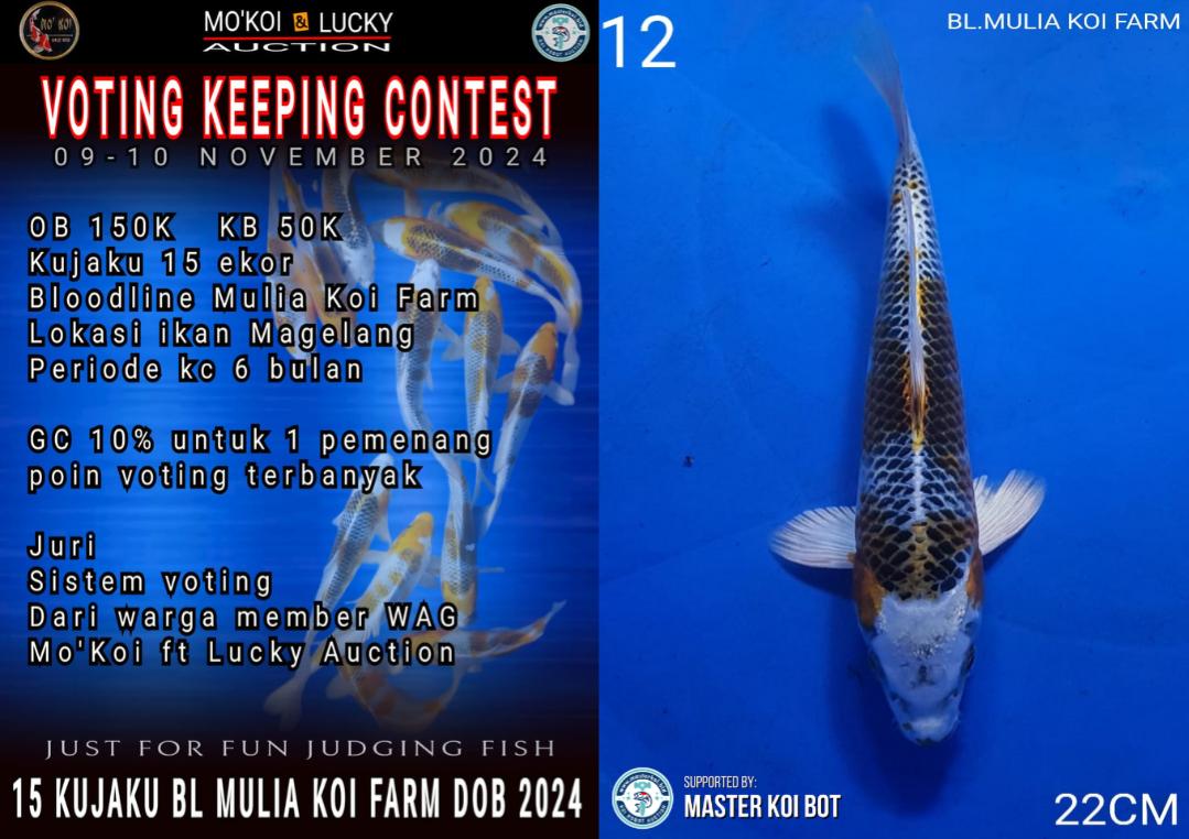 Lelang Koi Online, Jual Beli Ikan Koi, Pusat Jual Beli Koi, Info Lelang Koi Hari Ini, Platform Jual Beli Koi, Jual Beli Ikan Koi Online, Marketplace Ikan Koi, Jual Koi Terbaik, Tempat Beli Koi Berkualitas, Pasar Ikan Koi Online Terpercaya, Penjual Ikan Koi Terpercaya, Beli Koi Hias Online, Ikan Koi untuk Dijual, Koi Kualitas Terbaik, Toko Online Ikan Koi, Koi Hias Untuk Dijual, Jual Beli Ikan Koi Lokal, Koi Indonesia Online, Pusat Jual Beli Koi Terbesar