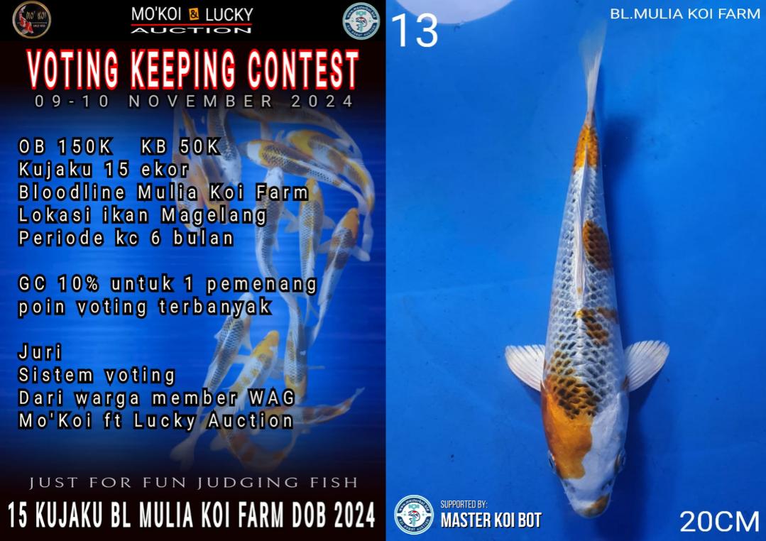 Lelang Koi Online, Jual Beli Ikan Koi, Pusat Jual Beli Koi, Info Lelang Koi Hari Ini, Platform Jual Beli Koi, Jual Beli Ikan Koi Online, Marketplace Ikan Koi, Jual Koi Terbaik, Tempat Beli Koi Berkualitas, Pasar Ikan Koi Online Terpercaya, Penjual Ikan Koi Terpercaya, Beli Koi Hias Online, Ikan Koi untuk Dijual, Koi Kualitas Terbaik, Toko Online Ikan Koi, Koi Hias Untuk Dijual, Jual Beli Ikan Koi Lokal, Koi Indonesia Online, Pusat Jual Beli Koi Terbesar