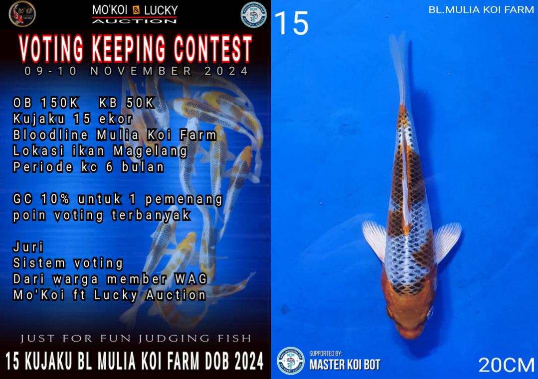 Lelang Koi Online, Jual Beli Ikan Koi, Pusat Jual Beli Koi, Info Lelang Koi Hari Ini, Platform Jual Beli Koi, Jual Beli Ikan Koi Online, Marketplace Ikan Koi, Jual Koi Terbaik, Tempat Beli Koi Berkualitas, Pasar Ikan Koi Online Terpercaya, Penjual Ikan Koi Terpercaya, Beli Koi Hias Online, Ikan Koi untuk Dijual, Koi Kualitas Terbaik, Toko Online Ikan Koi, Koi Hias Untuk Dijual, Jual Beli Ikan Koi Lokal, Koi Indonesia Online, Pusat Jual Beli Koi Terbesar