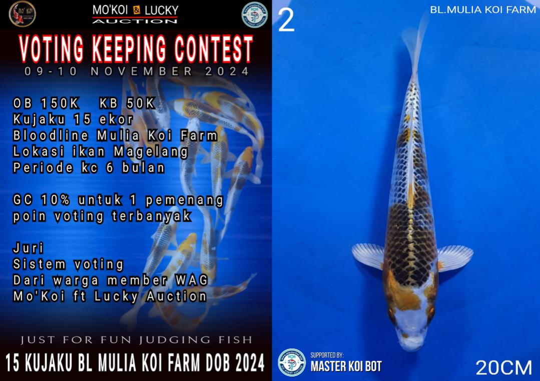 Lelang Koi Online, Jual Beli Ikan Koi, Pusat Jual Beli Koi, Info Lelang Koi Hari Ini, Platform Jual Beli Koi, Jual Beli Ikan Koi Online, Marketplace Ikan Koi, Jual Koi Terbaik, Tempat Beli Koi Berkualitas, Pasar Ikan Koi Online Terpercaya, Penjual Ikan Koi Terpercaya, Beli Koi Hias Online, Ikan Koi untuk Dijual, Koi Kualitas Terbaik, Toko Online Ikan Koi, Koi Hias Untuk Dijual, Jual Beli Ikan Koi Lokal, Koi Indonesia Online, Pusat Jual Beli Koi Terbesar